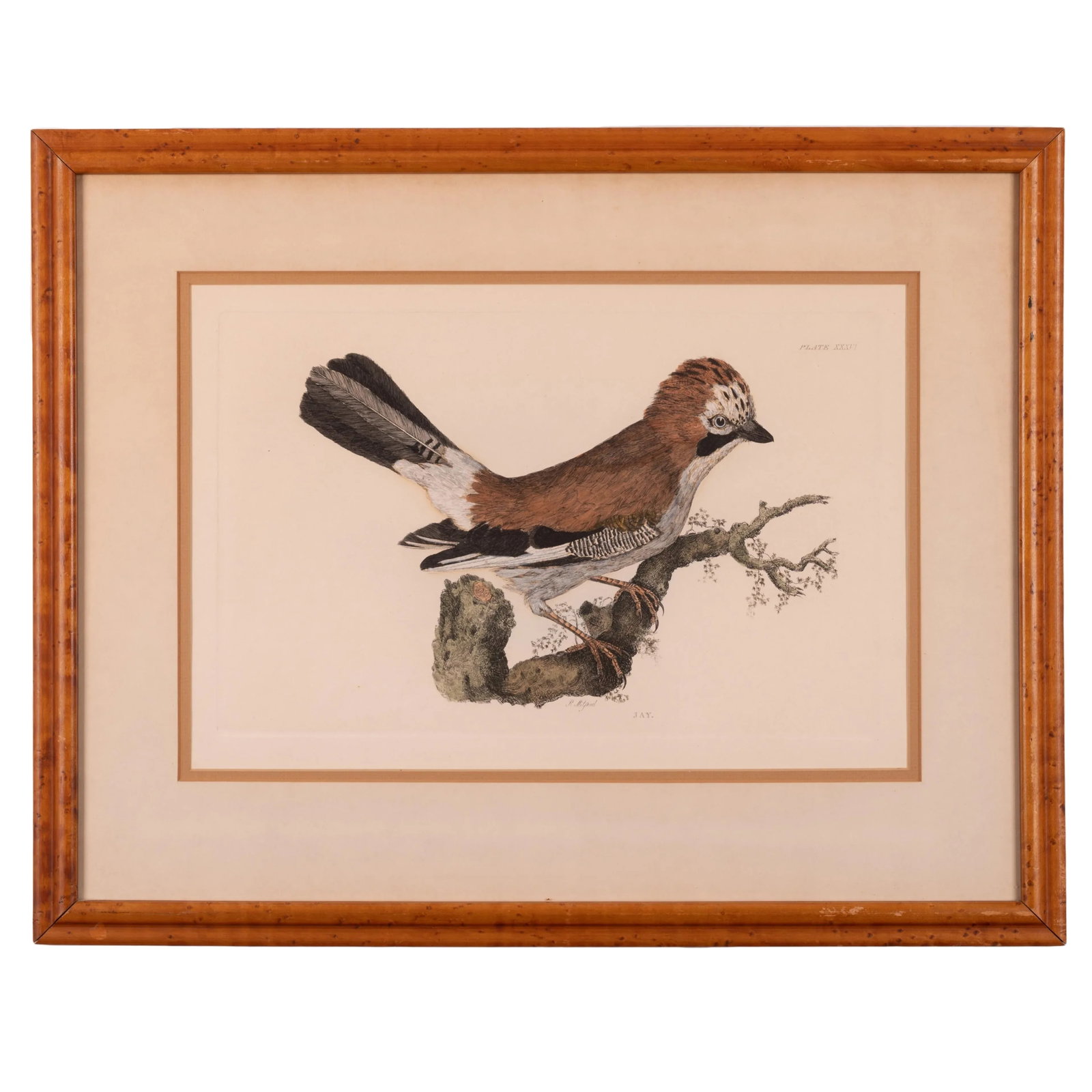 Selby Jay Engraving - 4