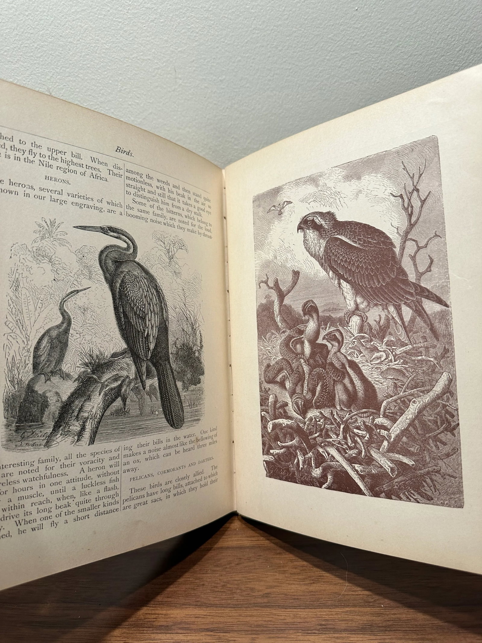 Antique Hardcover Book 1888 Worthington's Annual Children's Gift Book Stories Poems Illustrations - 9