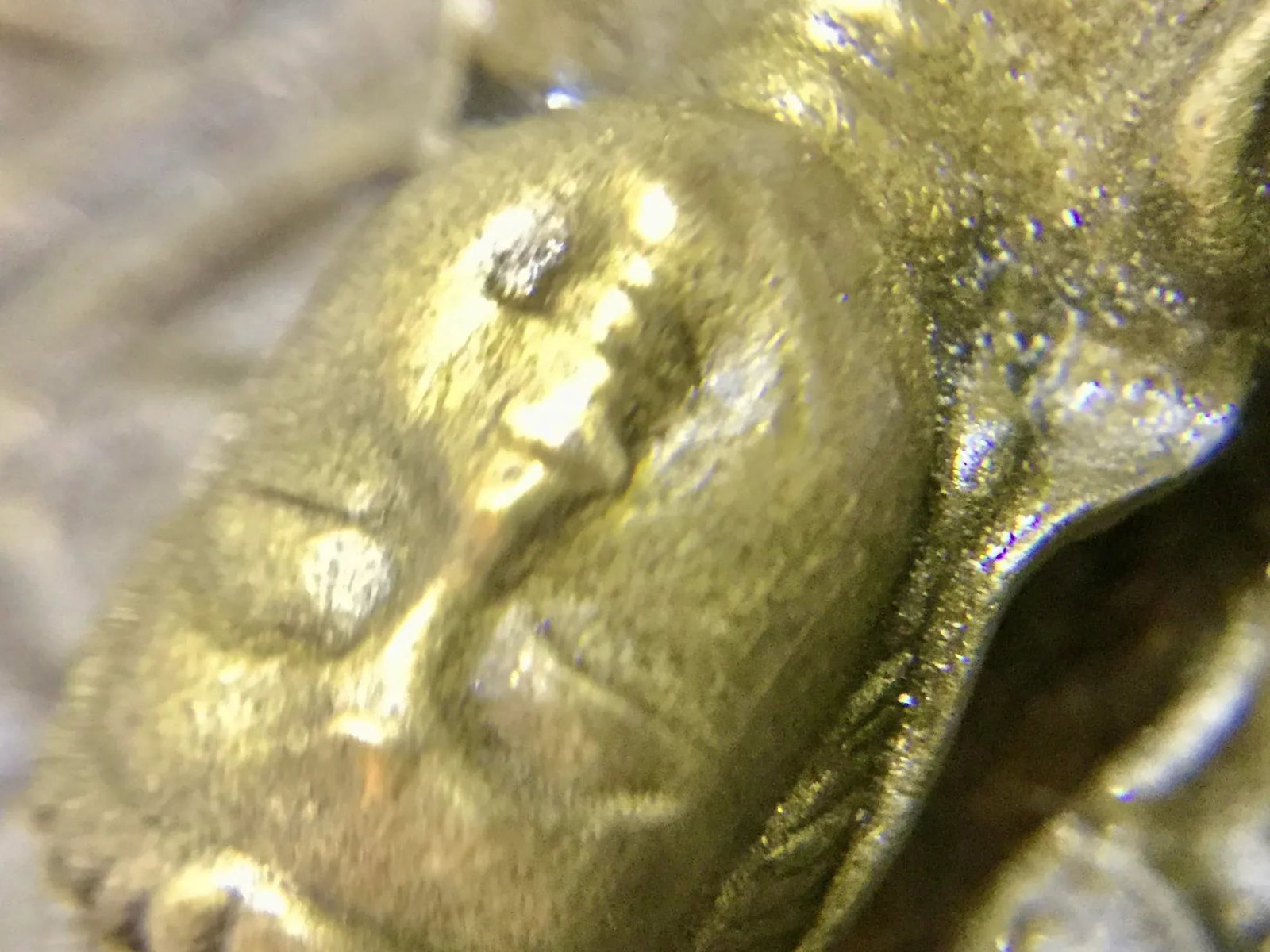 Antique Brass/Bronze Tibet Lotus Jizo Kwan-Yim Buddha - 10