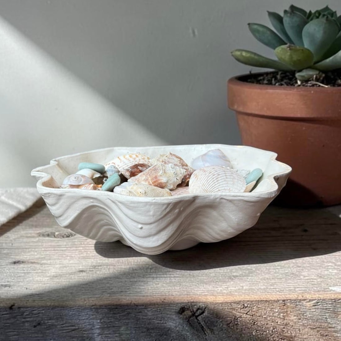 South Seas Stoneware Shell Bowl Planter - 10