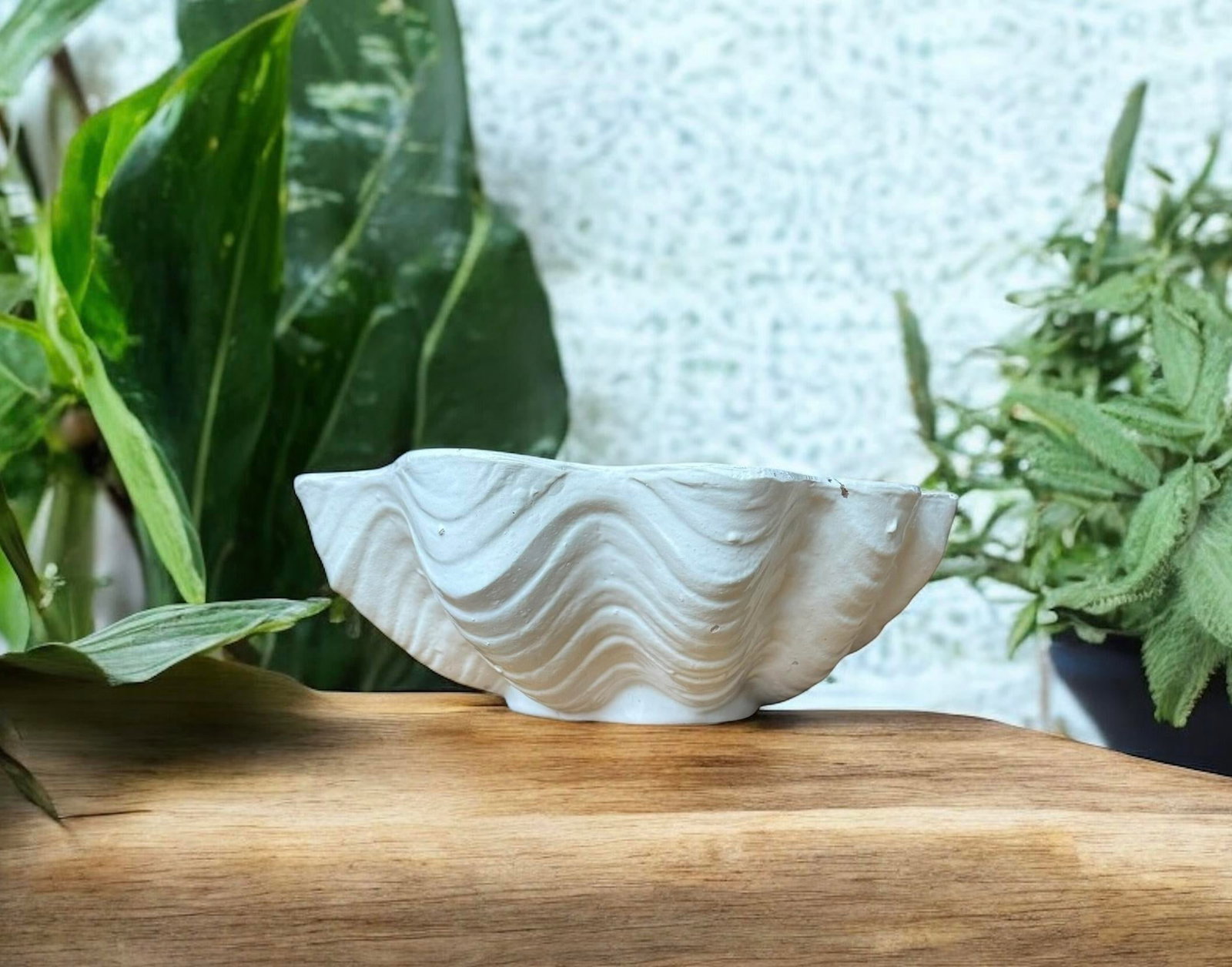 South Seas Stoneware Shell Bowl Planter - 6