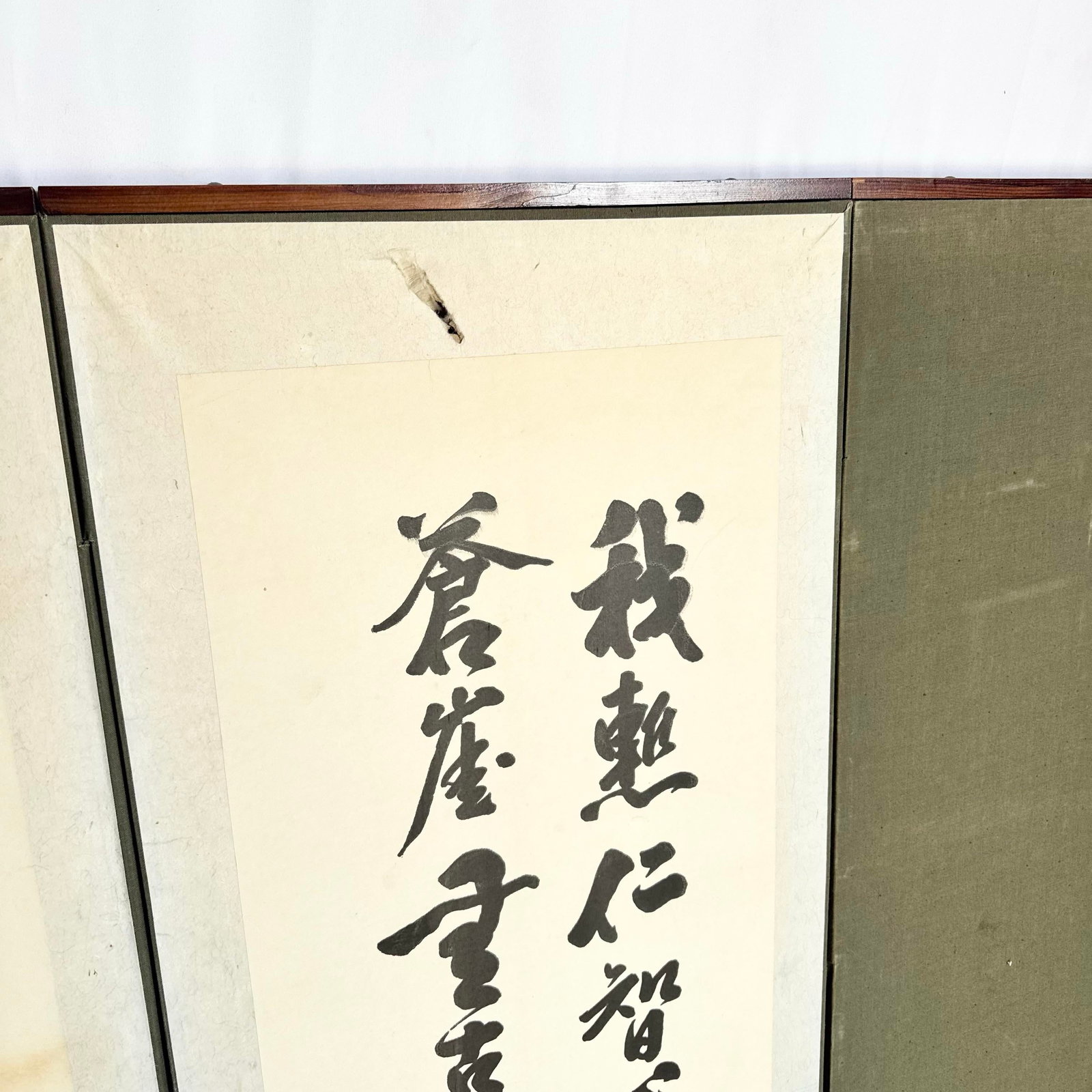 Vintage Chinese 6 Panel Screen/Room Divider - 11