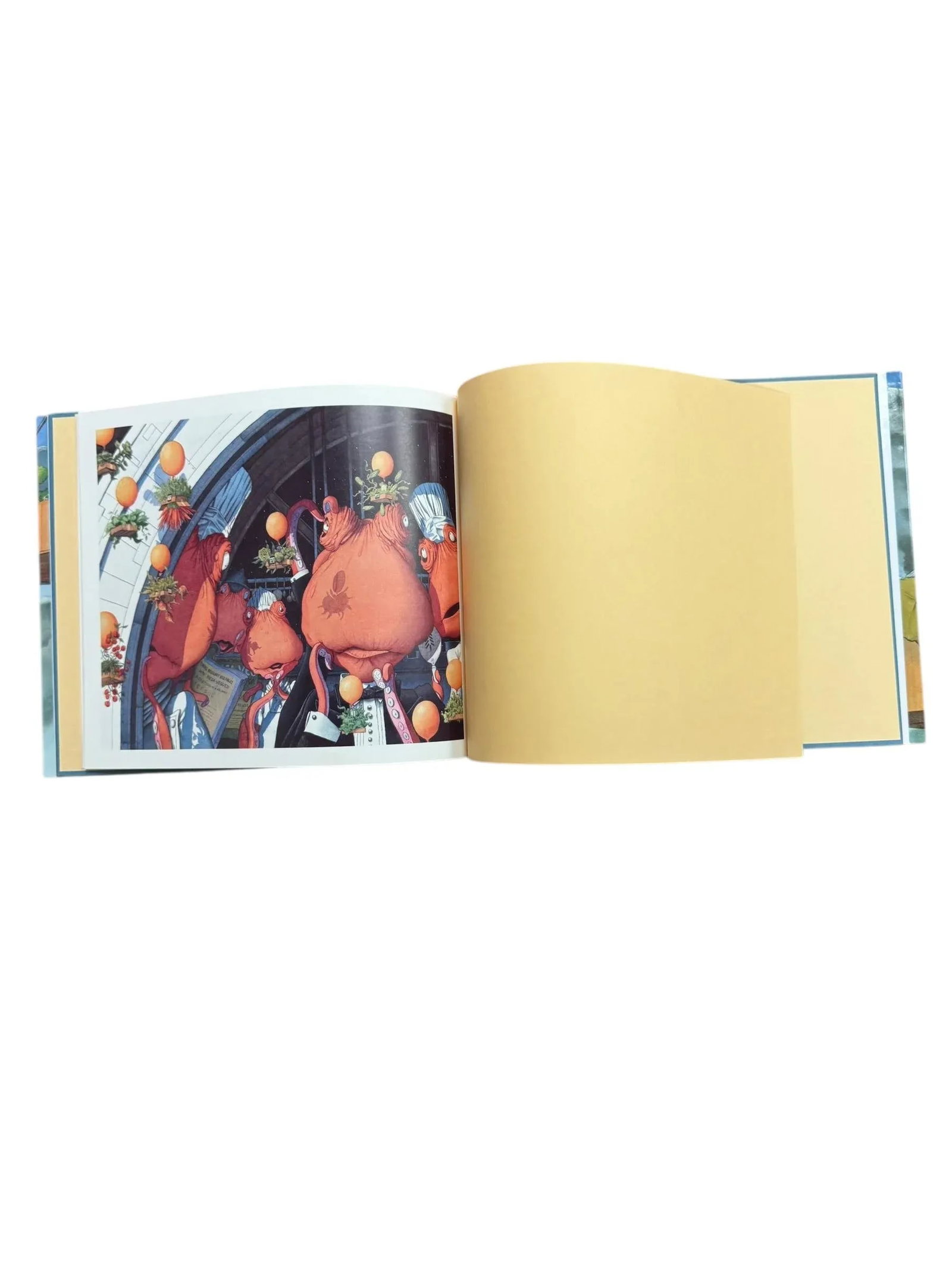 1992 First Edition Children's Hardcover Book June 29, 1999 by David Wiesner - 10