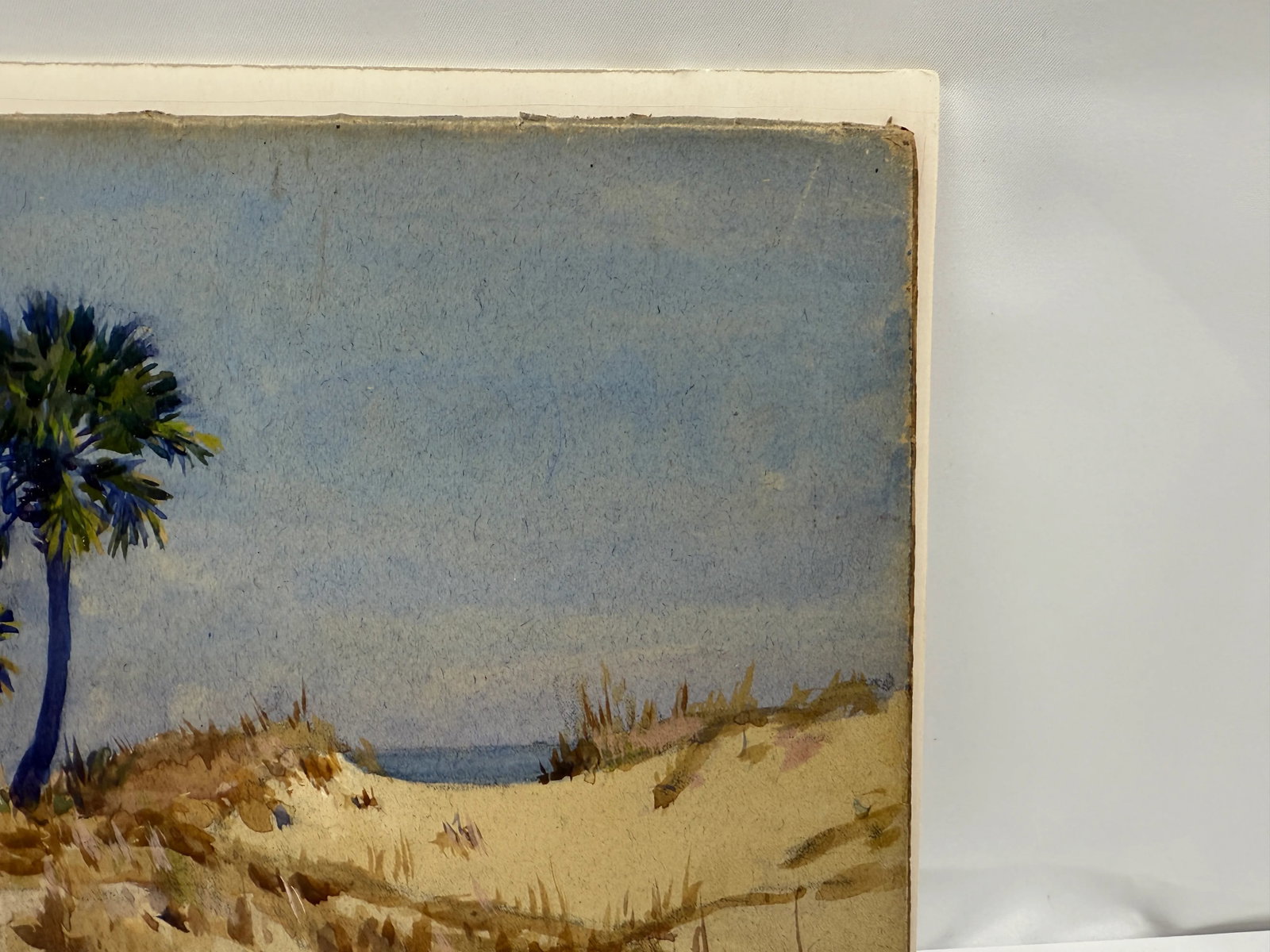 Frank C. Mathewson (American, 1862-1941) Dune Palmettos, Isle of Palms, 1920 - 3
