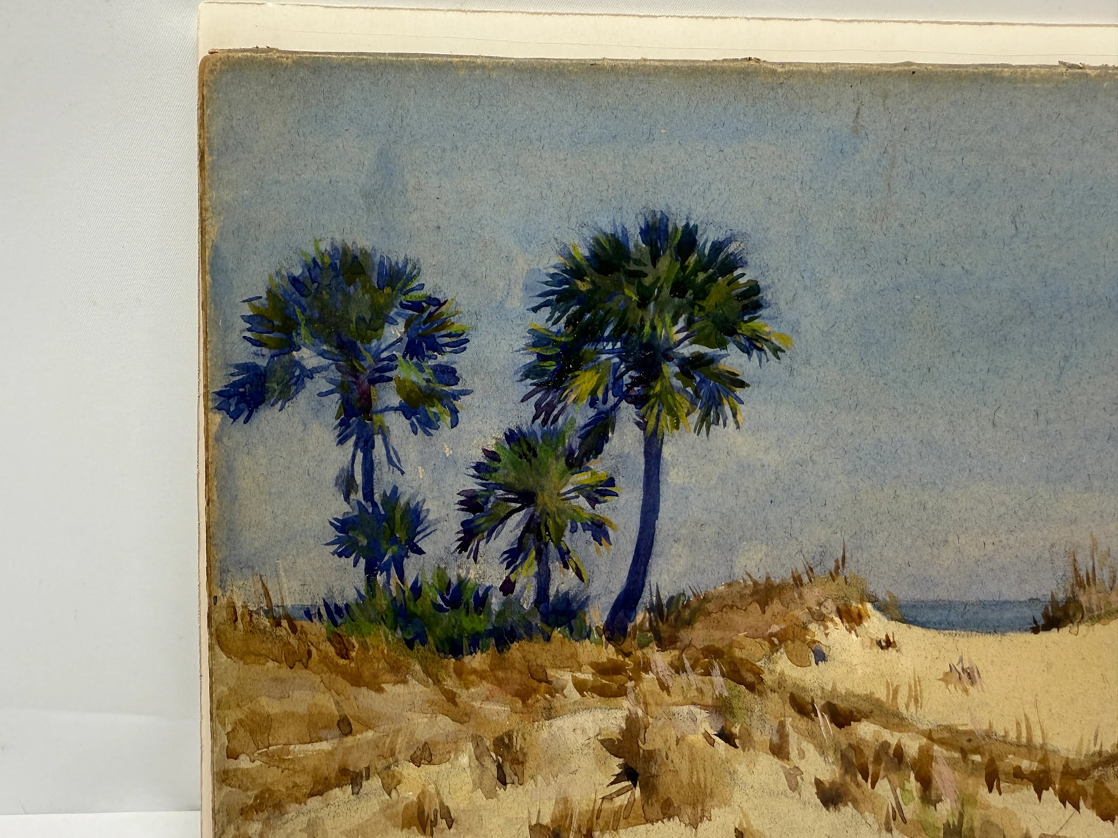 Frank C. Mathewson (American, 1862-1941) Dune Palmettos, Isle of Palms, 1920 - 5