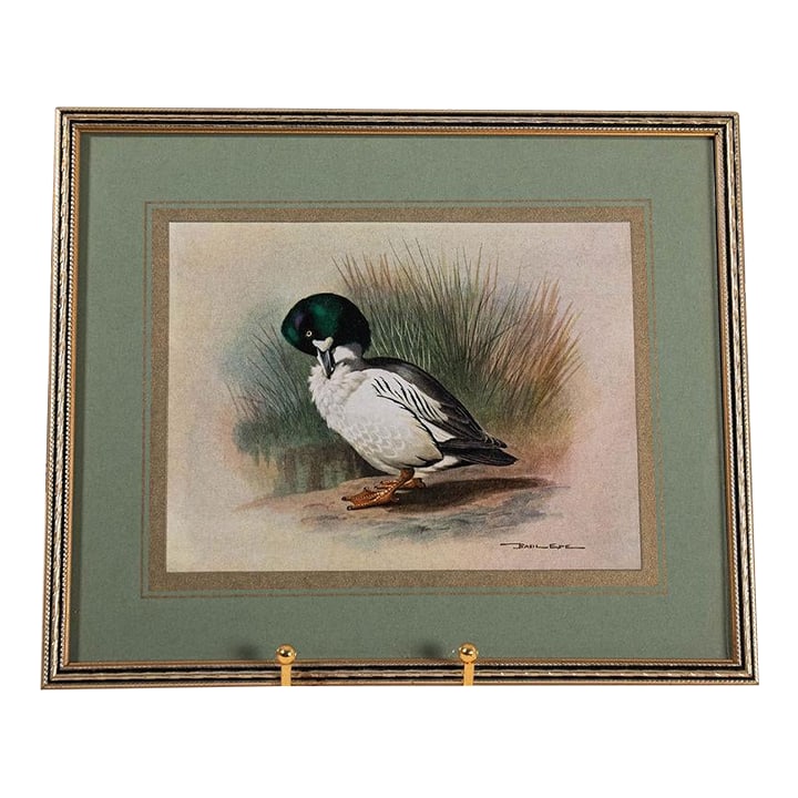 Set of 3 Signed Duck Prints With Green Mats (1 of 9)