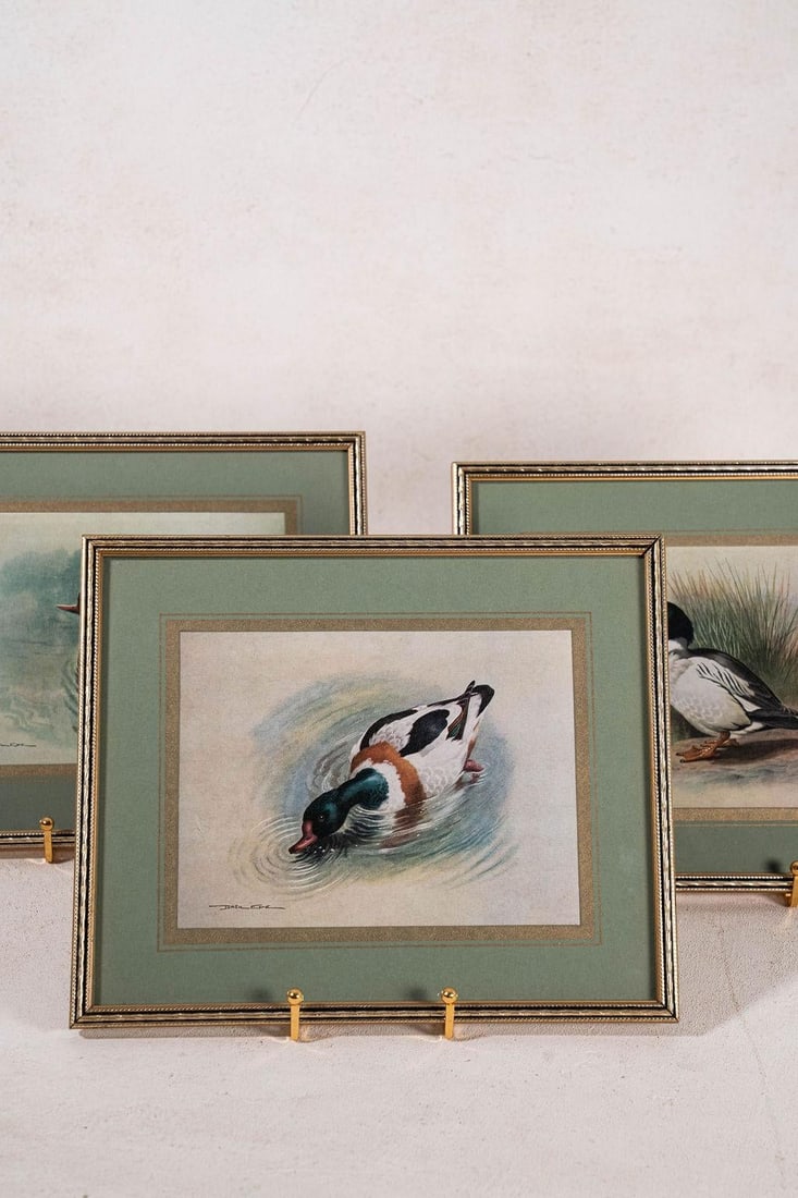 Set of 3 Signed Duck Prints With Green Mats - 2