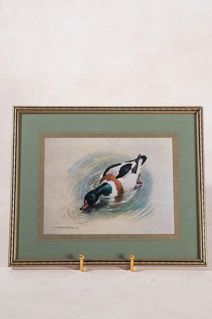 Set of 3 Signed Duck Prints With Green Mats - 5