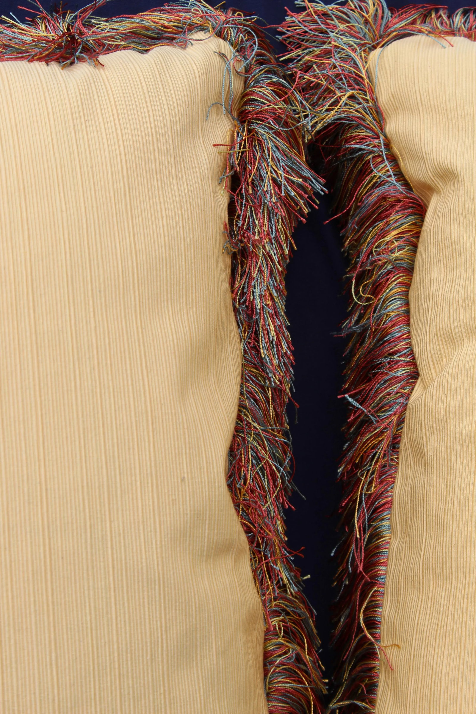 Late 20th C. Raw Silk Pillows - a Pair - 4