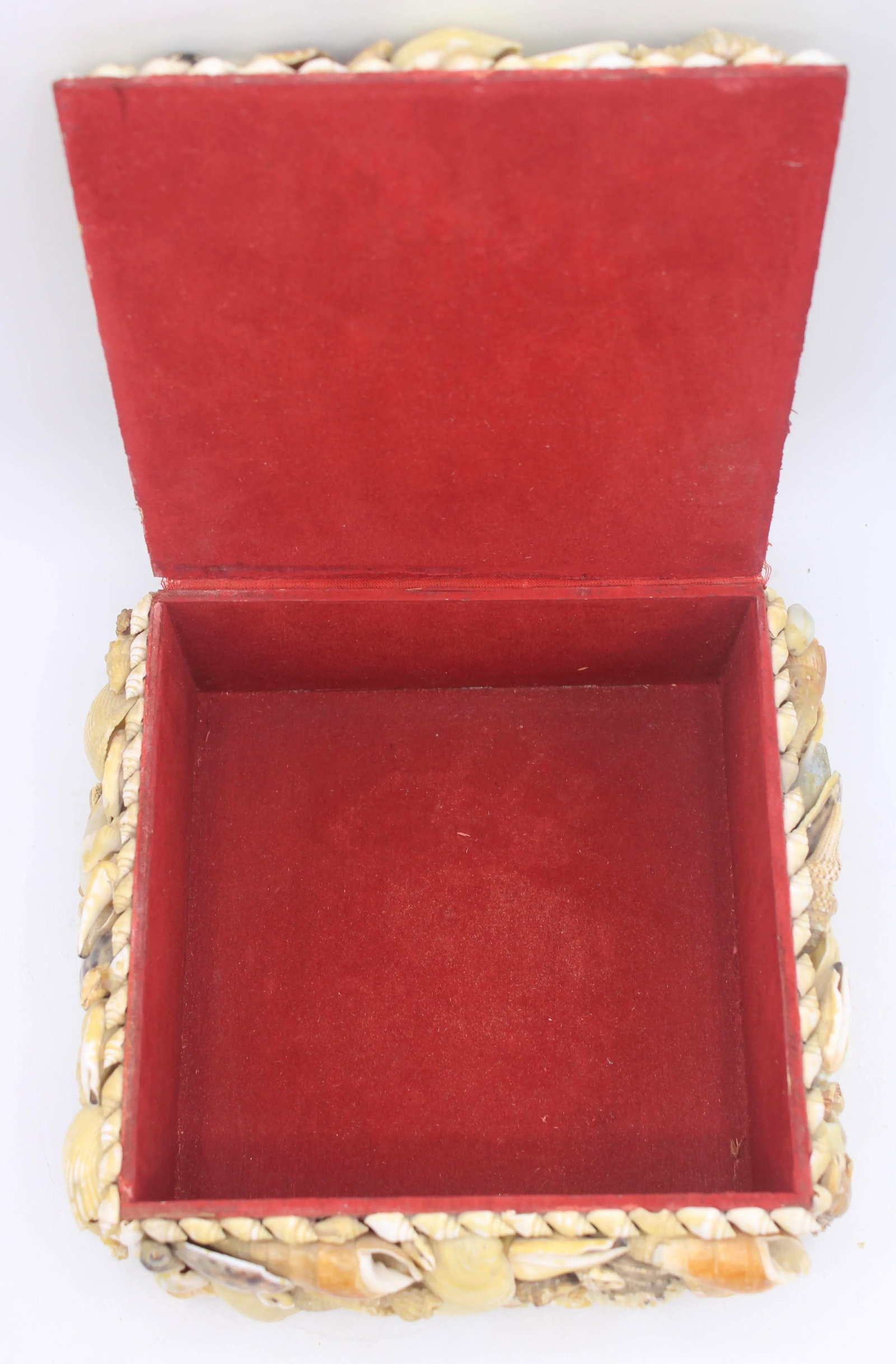 Large Vintage Seashell Encrusted Jewelry Box - 11