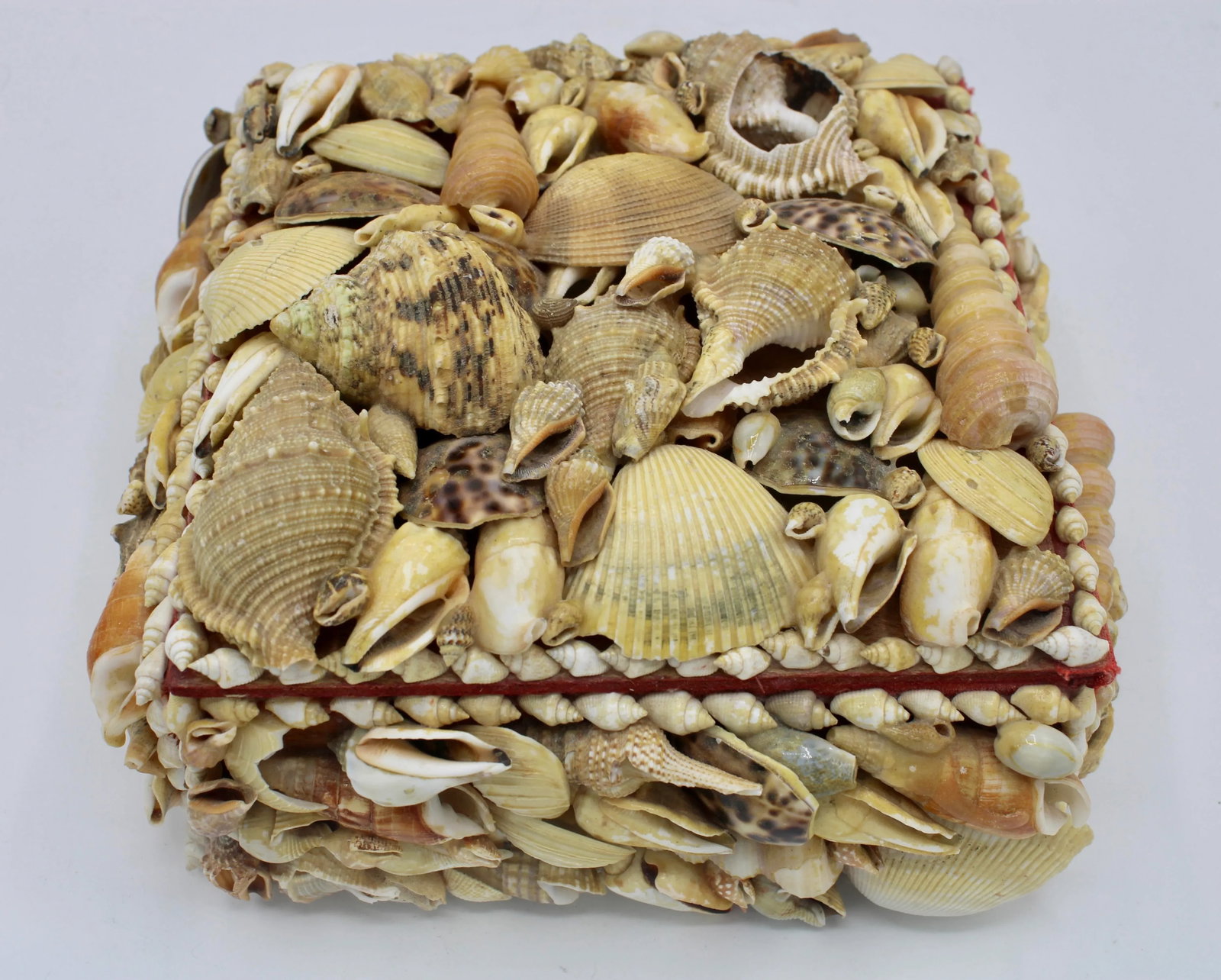 Large Vintage Seashell Encrusted Jewelry Box - 5
