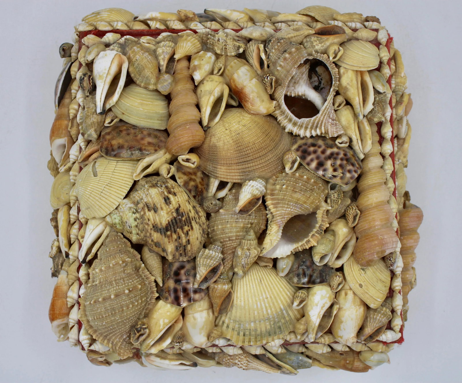 Large Vintage Seashell Encrusted Jewelry Box - 6