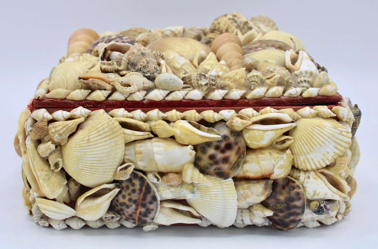 Large Vintage Seashell Encrusted Jewelry Box - 9