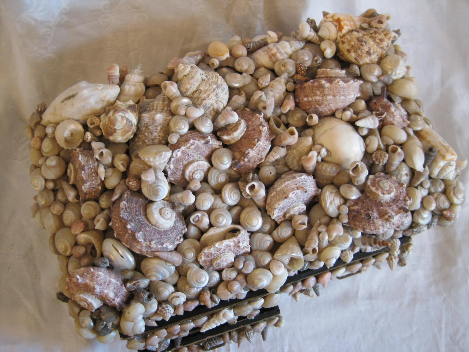 Vintage Seashell Encrusted Jewelry Box - 5