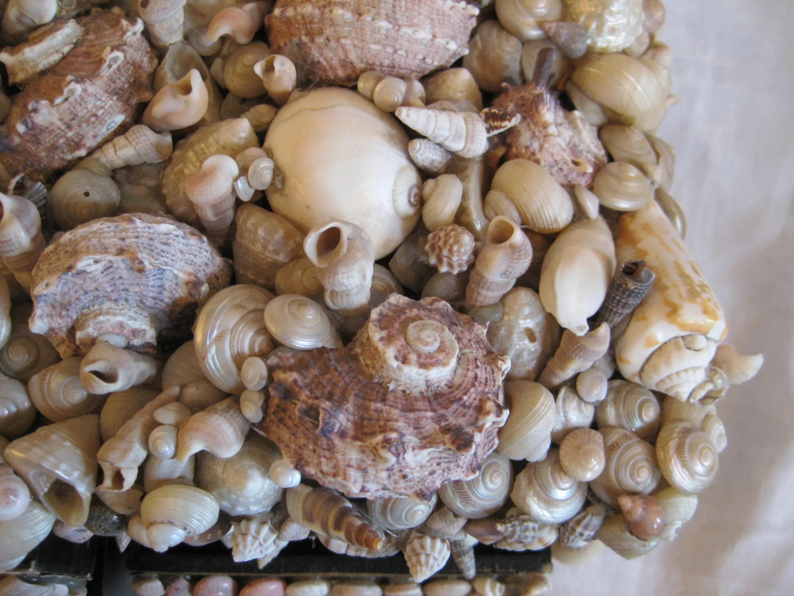 Vintage Seashell Encrusted Jewelry Box - 7