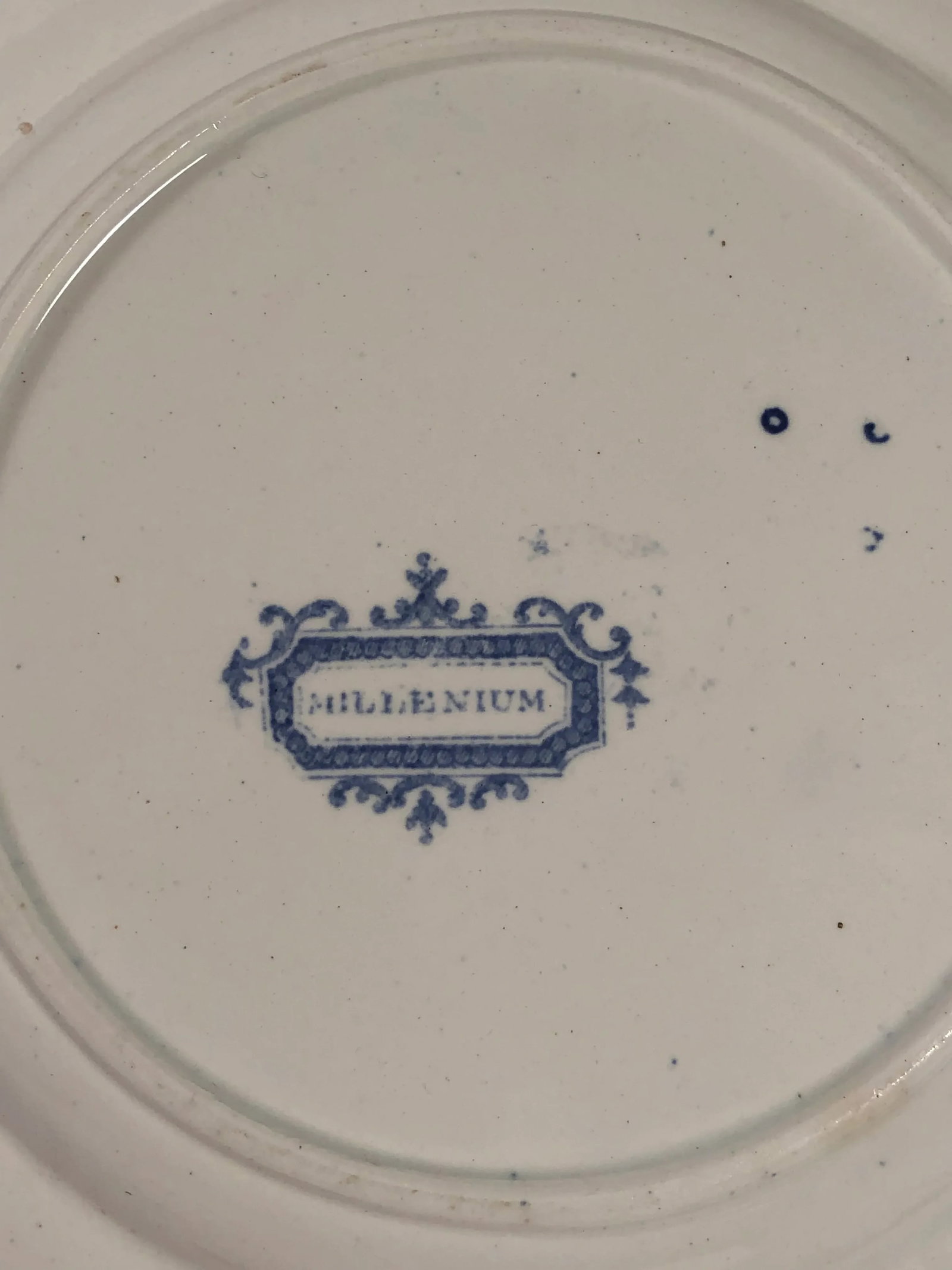 Antique Transferware Staffordshire Millennium Blue and White Plates - a Pair - 3