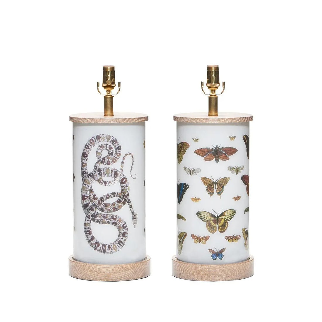Liz Marsh Designs "Natural History" Table Lamp - 3