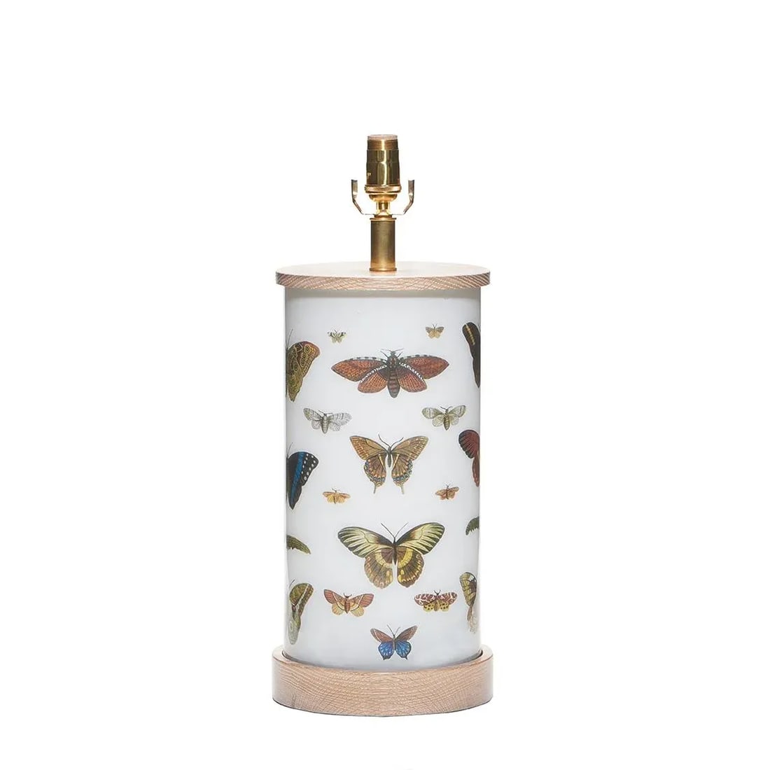 Liz Marsh Designs "Natural History" Table Lamp - 5