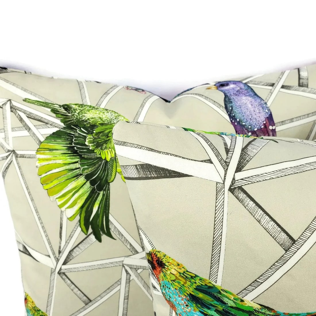 Scattered Rainbow Birds on Geometric Osborne and Little Aviary Fabric in Multi Pillow Cover - 20" X - 5