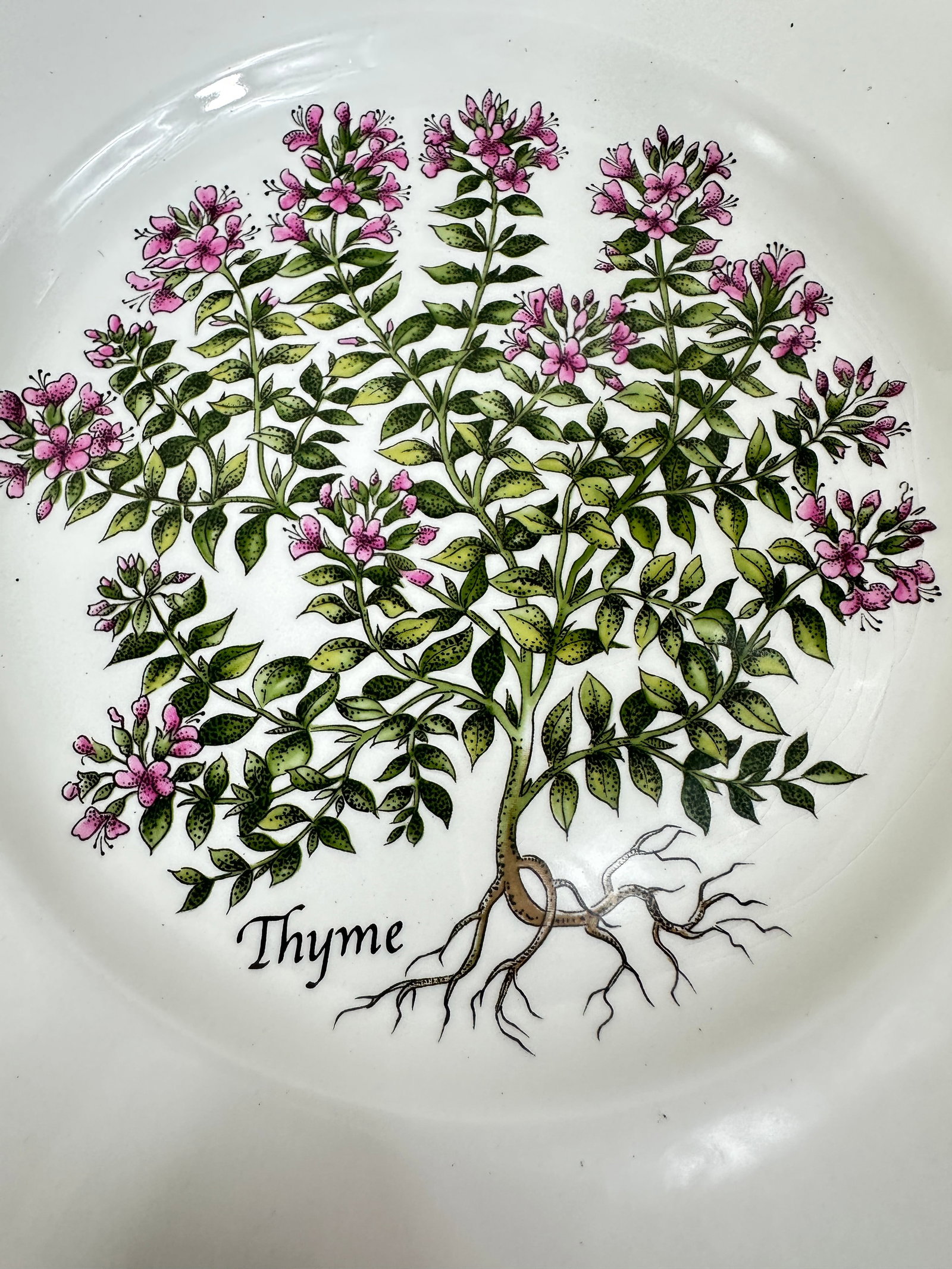 Vintage Tiffany Herbs Plates - 10