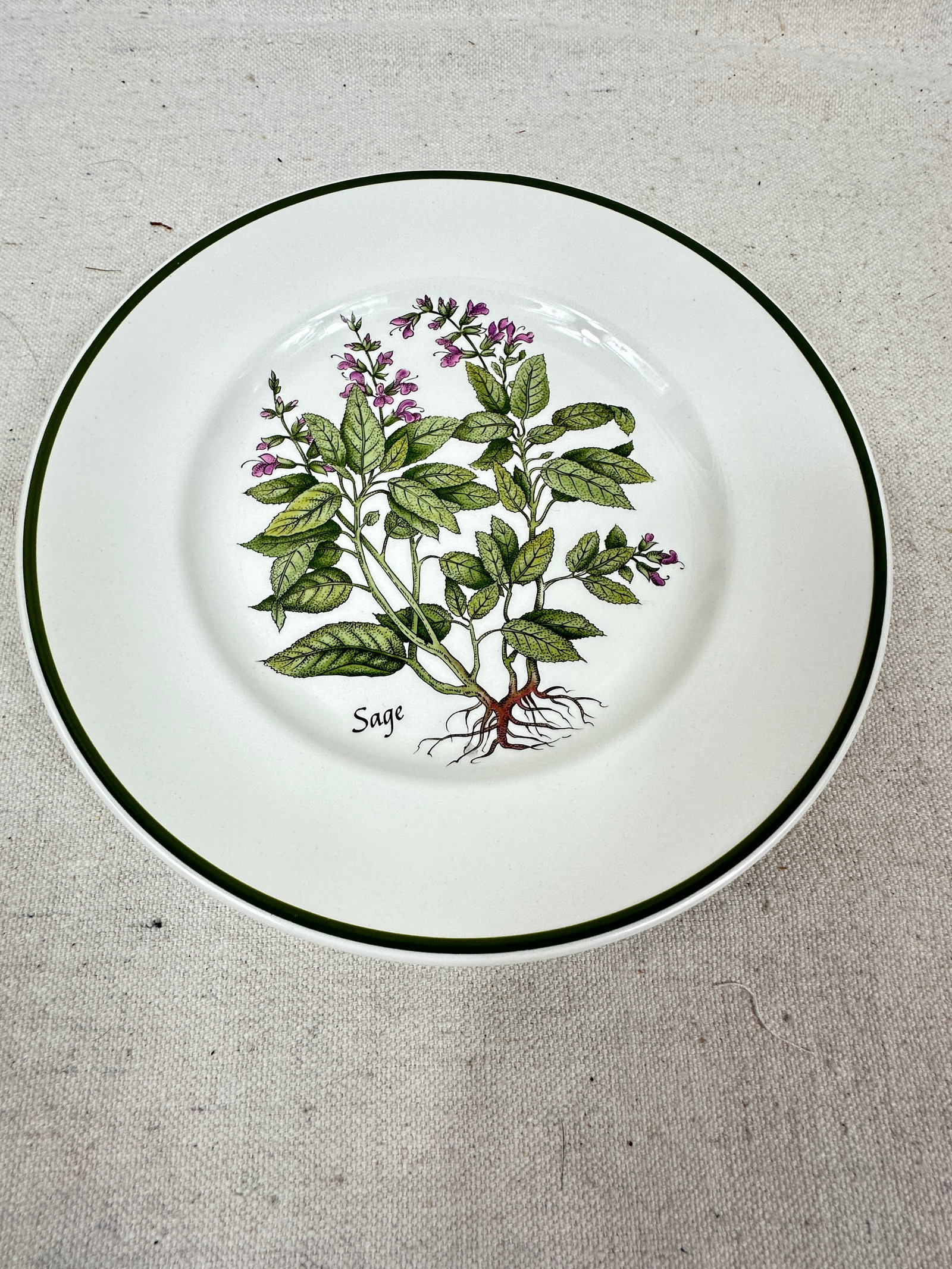 Vintage Tiffany Herbs Plates - 5