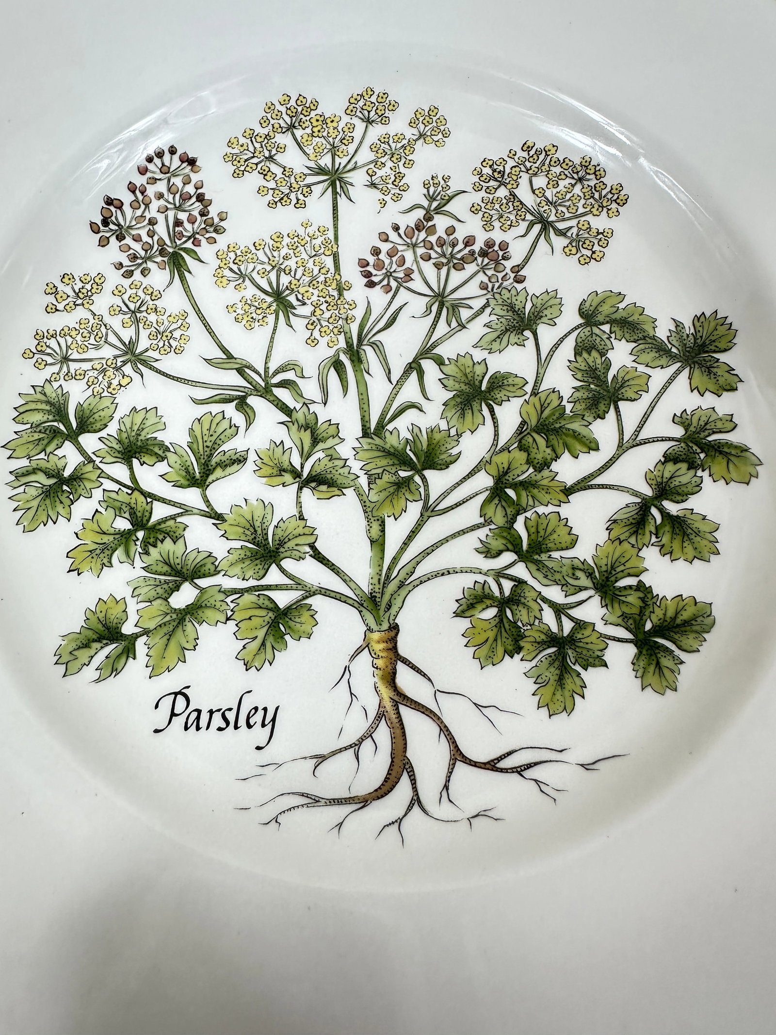 Vintage Tiffany Herbs Plates - 7