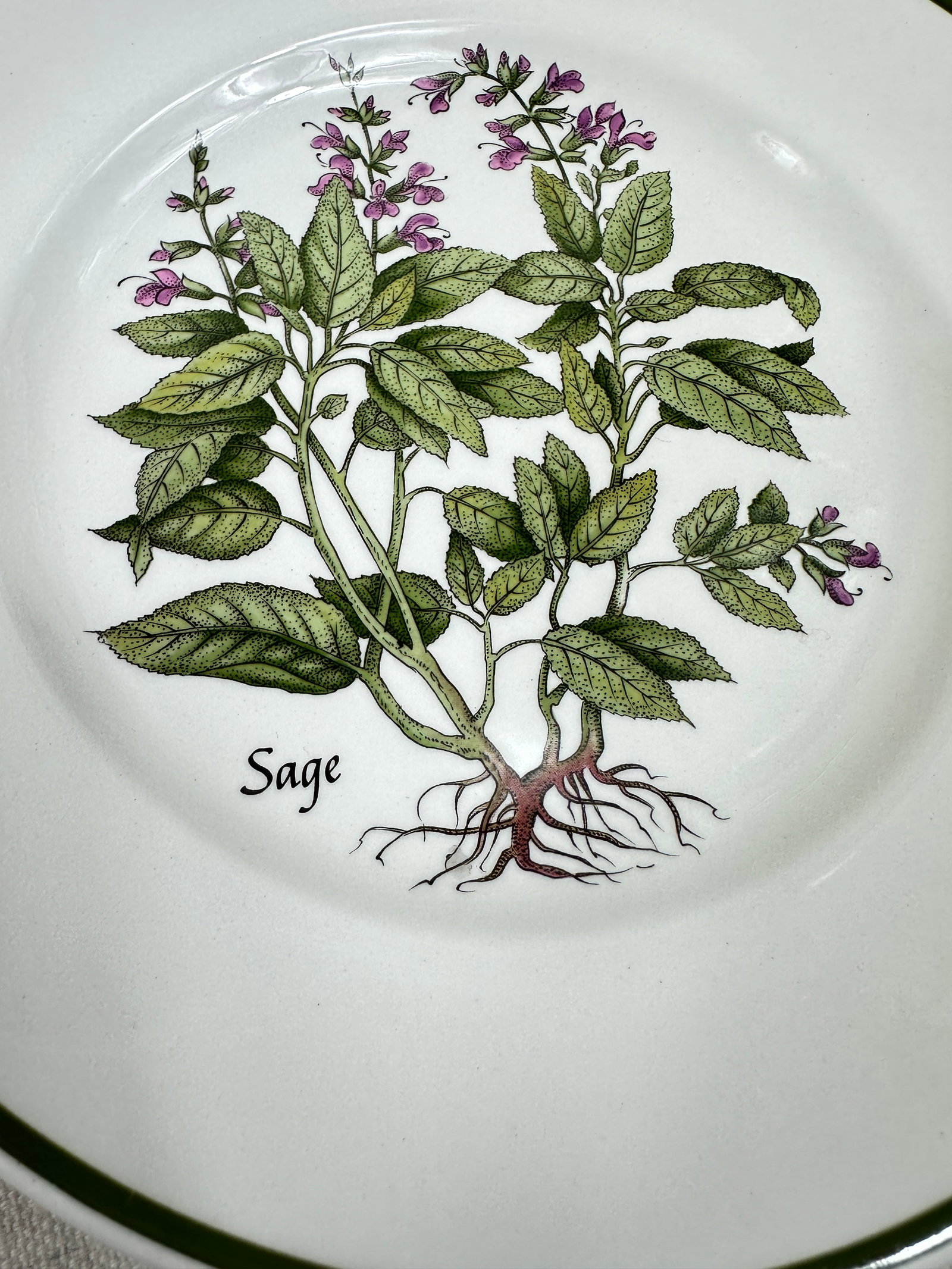 Vintage Tiffany Herbs Plates - 8