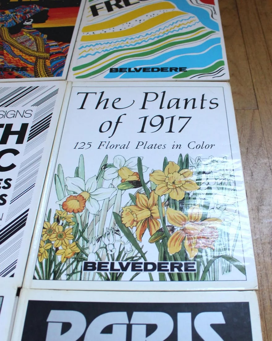 1980's Belvedere Italian Graphic Art Design Coffee Table Decorative Hard Cover Books - Set of 12 - 3