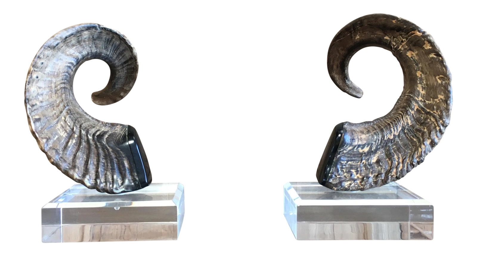 Late 20th Century Faux Ram Horns - a Pair: Faux Ram Horns. A unique decorative piece. Condition: Alterations: Original Condition Unaltered Imperfections: Some Imperfections Condition Notes: Wear is consistent with age and use. Materials & 