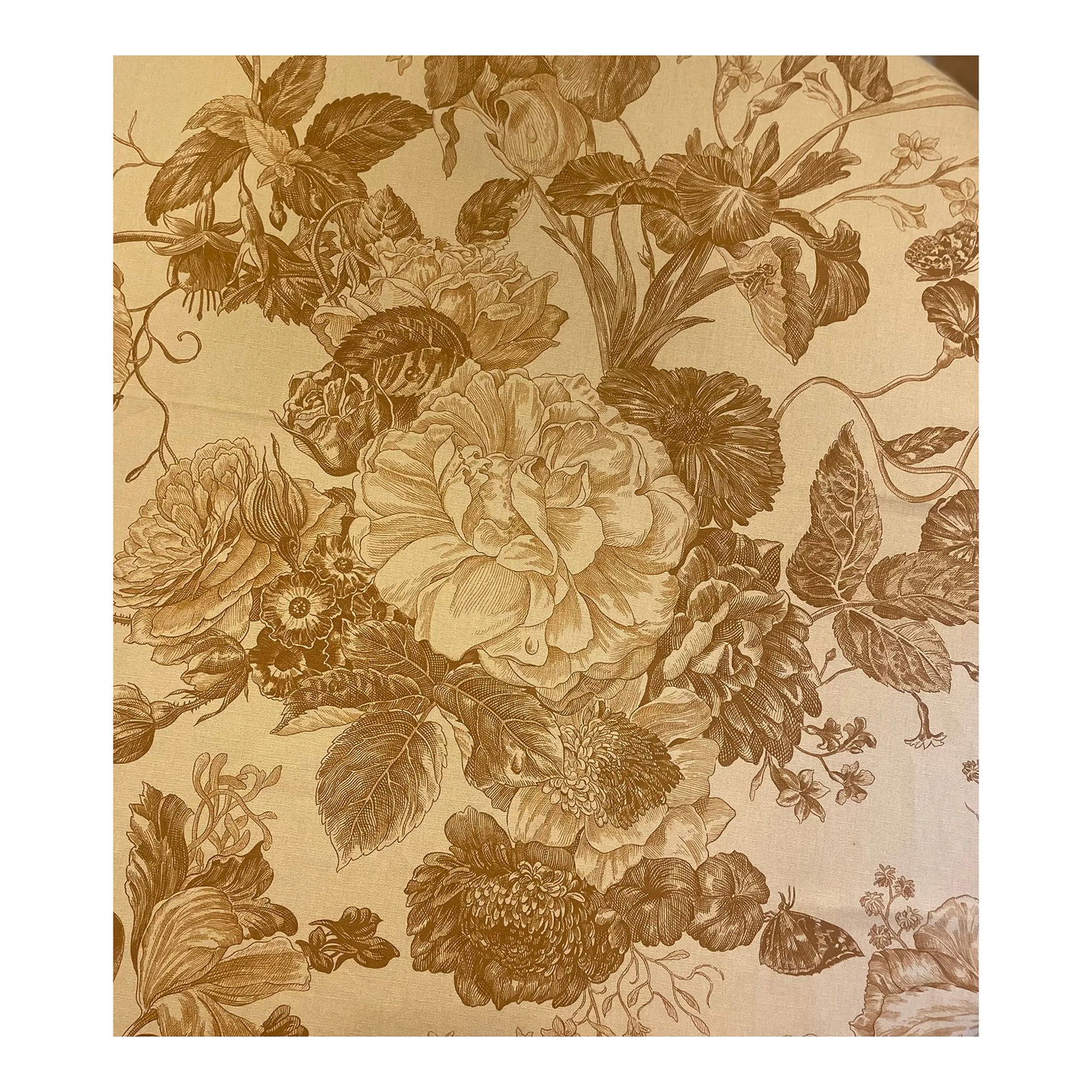 Pierre Frey Boussac Ronsard Fabric, 2 5/8 Yards: This listing is for a showroom sample of Pierre Frey-Boussac fabric in the Ronsard pattern, Caramel color way. This large cut is 94 in. long x 59 wide and is hemmed on all four sides. The top and