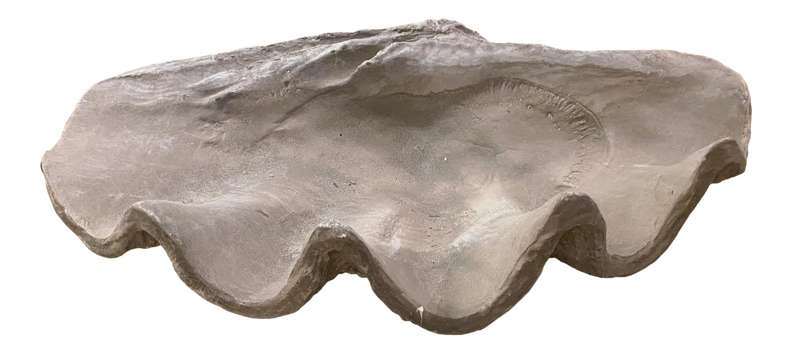 Large Grey Resin Clam Shell: Large resin clam shell - perfect for indoor or outdoor. Use as a decorative bowl on a table or bookshelf, or use outdoors as a planter for succulents Purchased at Scott's antique market in Atlanta