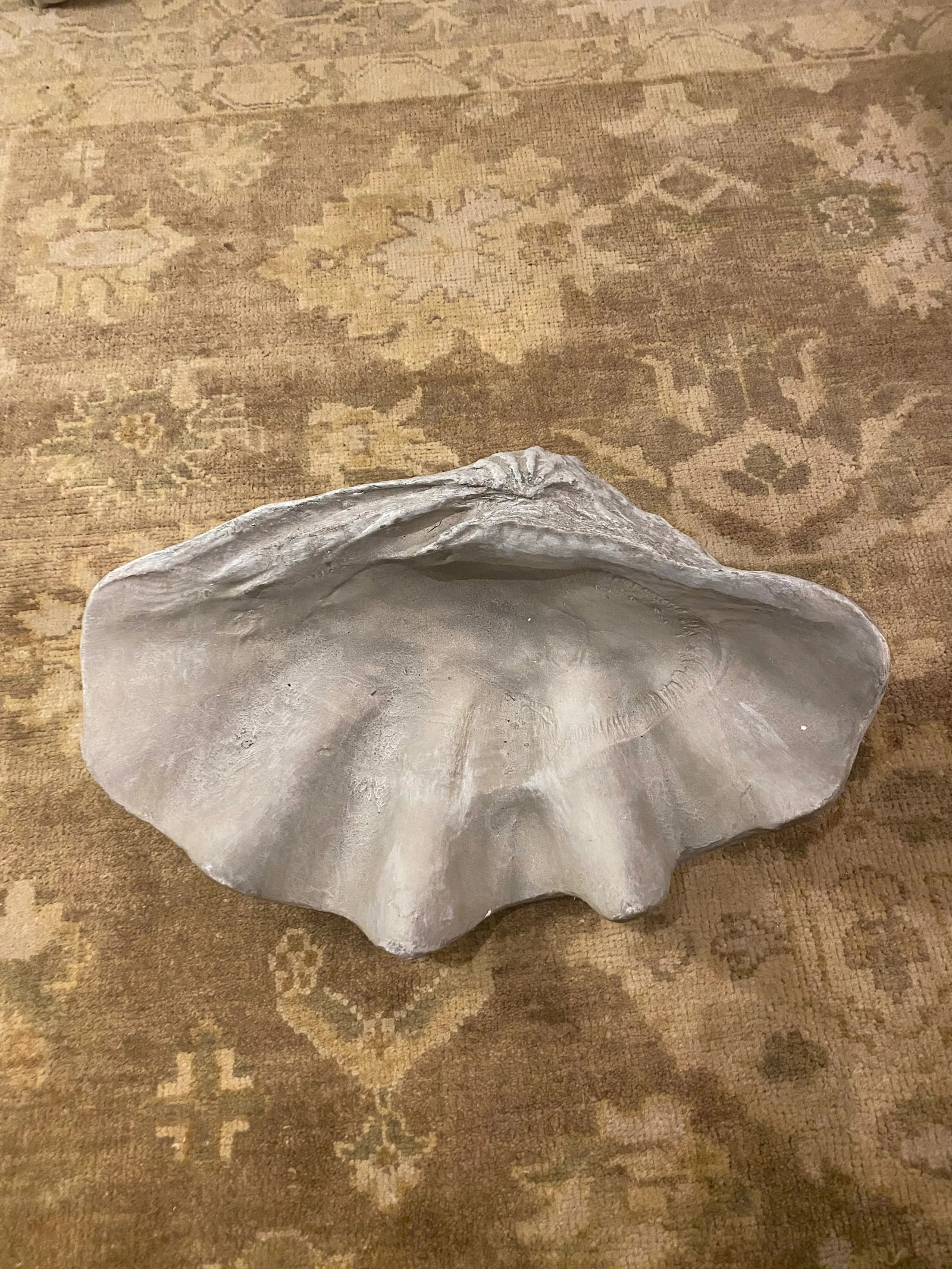 Large Grey Resin Clam Shell - 2