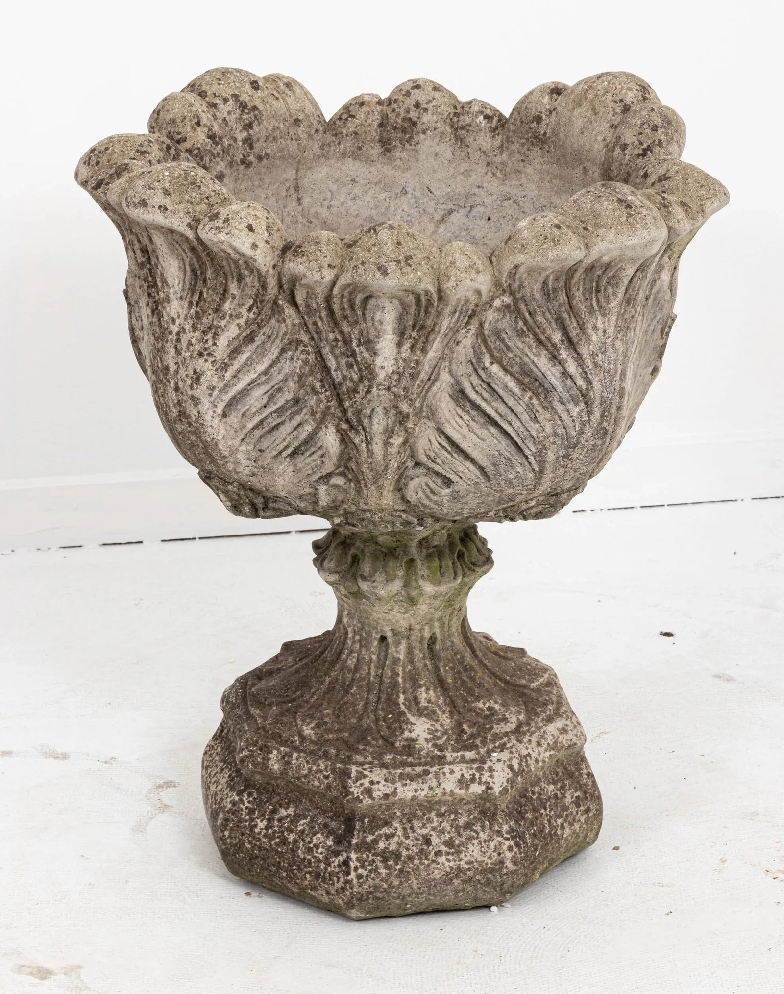 Acanthus Concrete Leaf Planter - 10