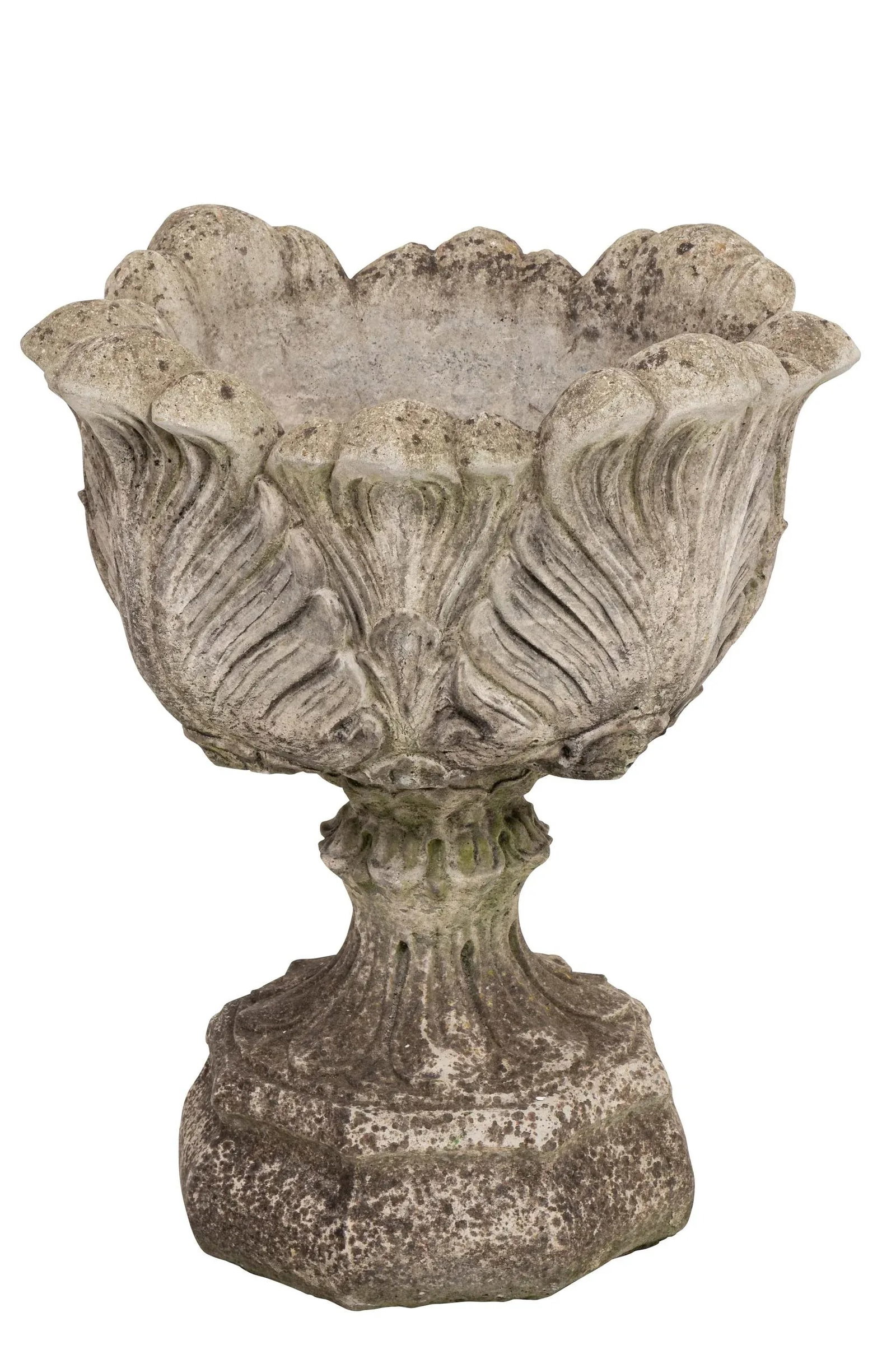 Acanthus Concrete Leaf Planter - 2