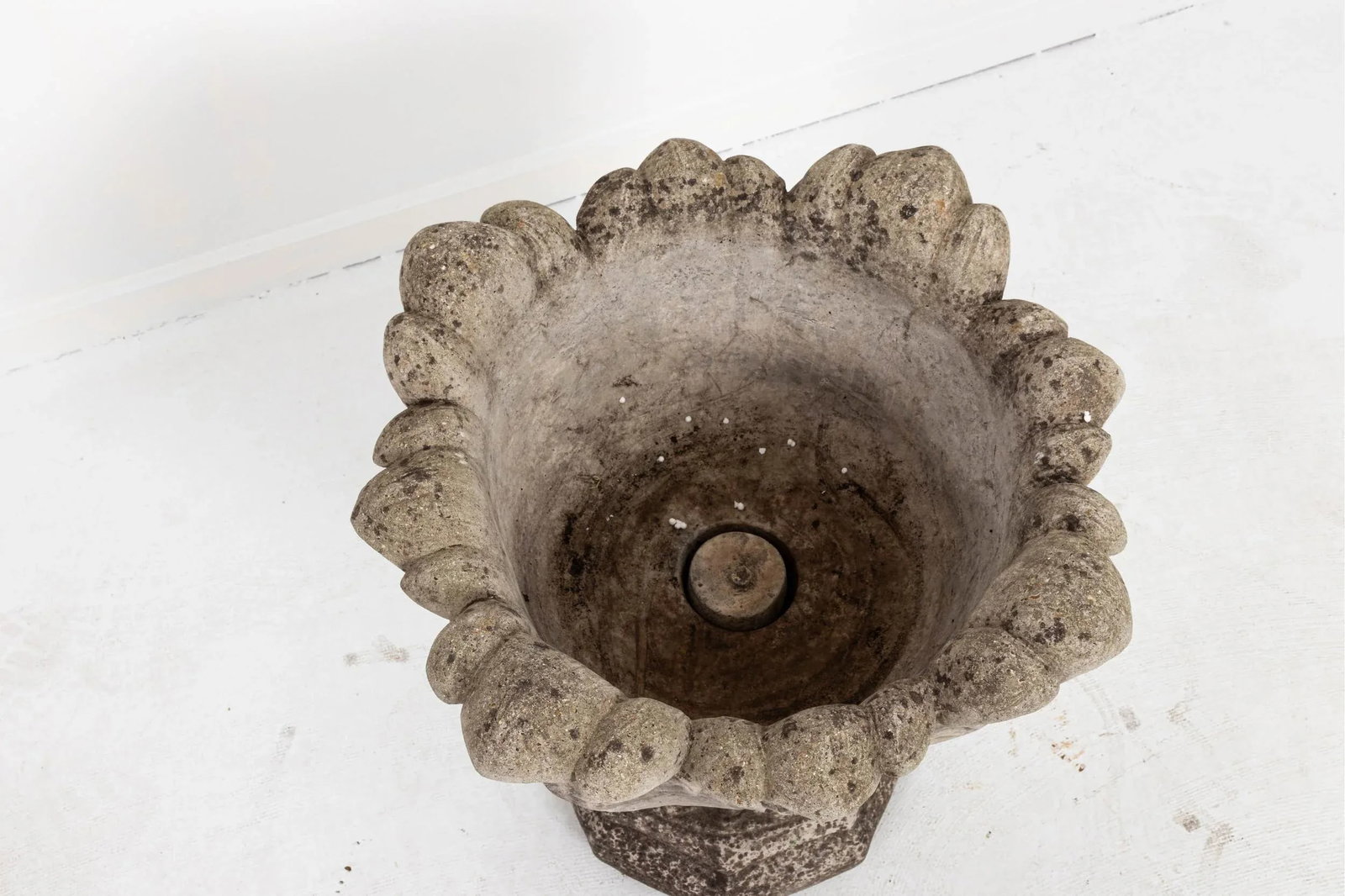 Acanthus Concrete Leaf Planter - 4