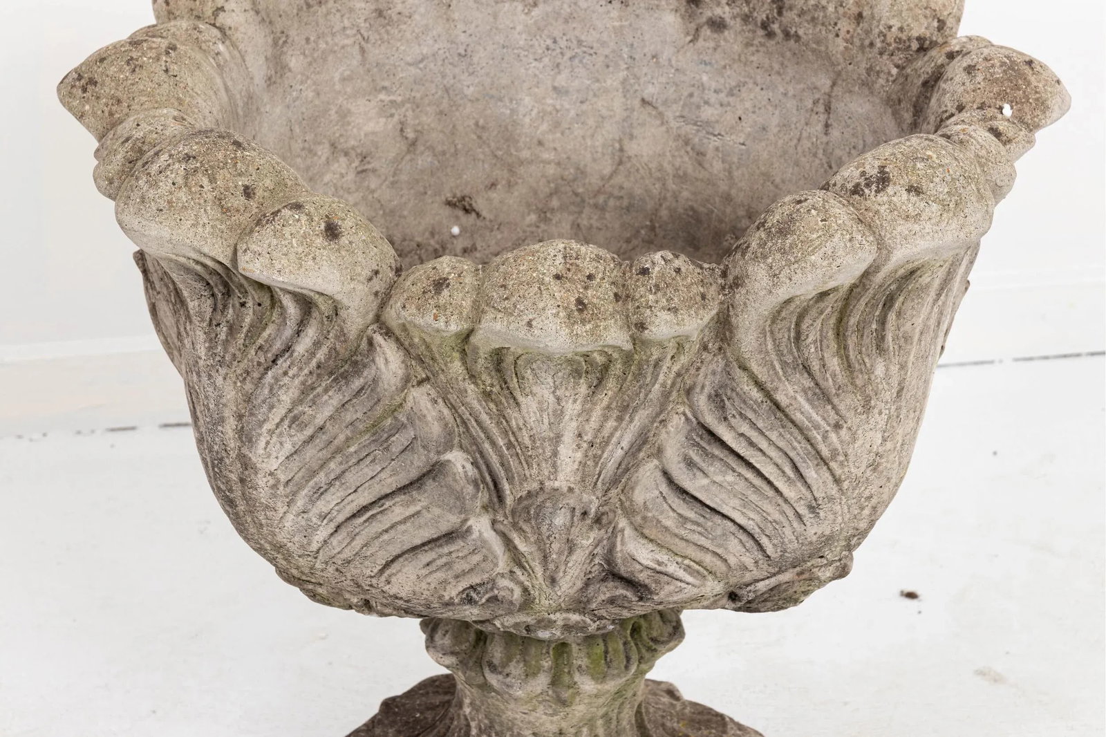 Acanthus Concrete Leaf Planter - 5