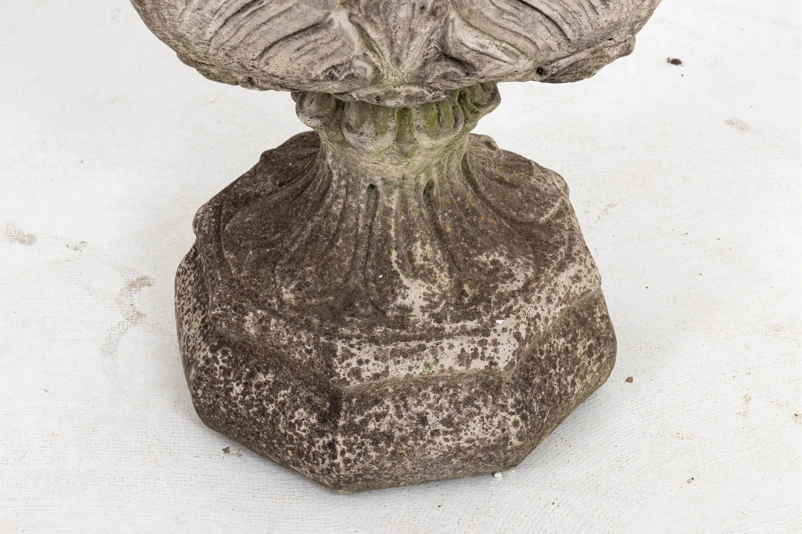 Acanthus Concrete Leaf Planter - 6
