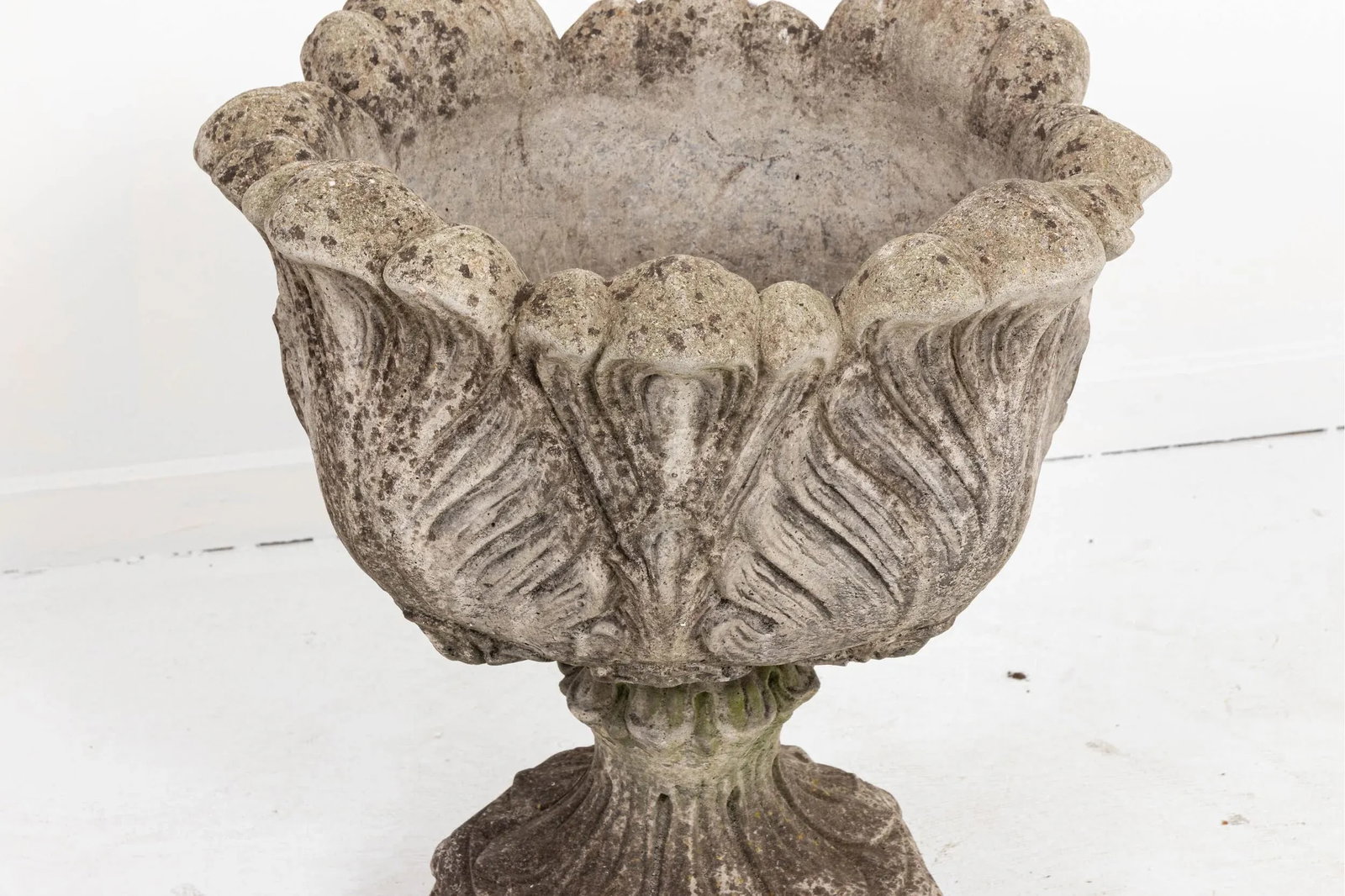 Acanthus Concrete Leaf Planter - 7