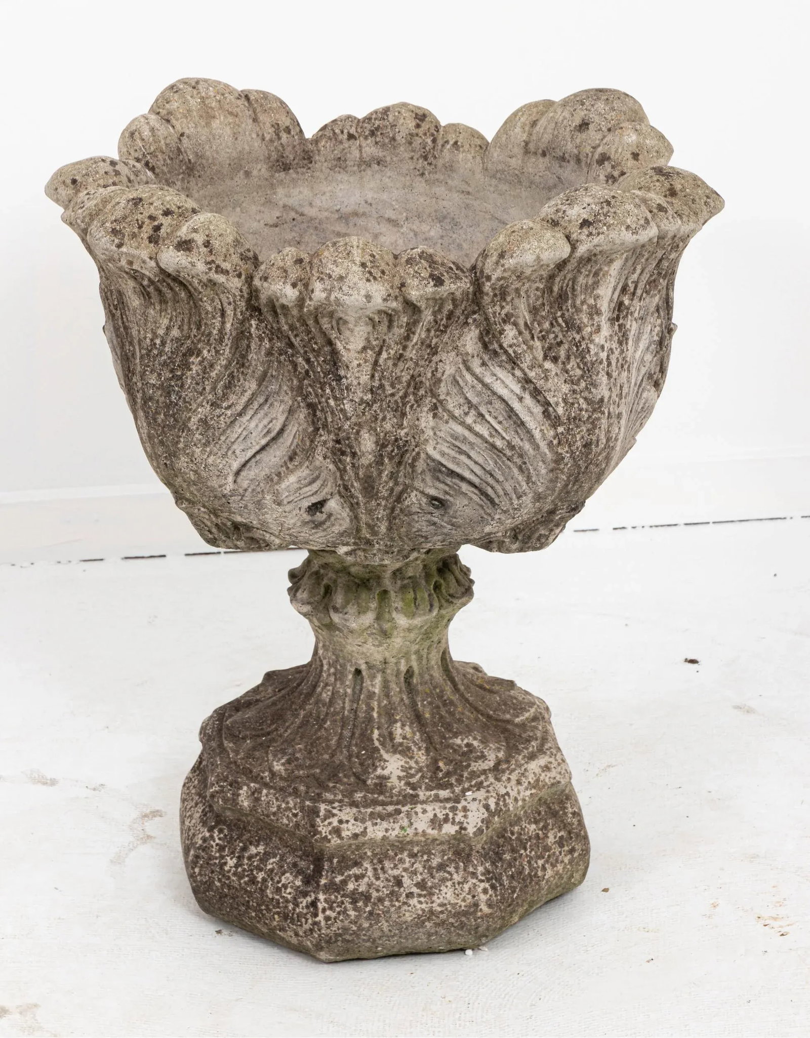 Acanthus Concrete Leaf Planter - 9