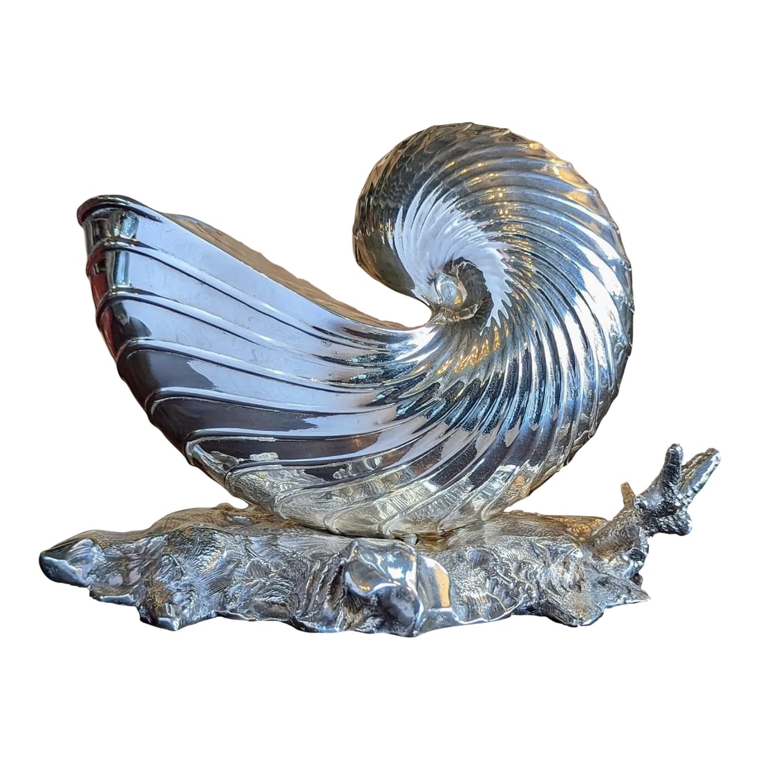 Antique English Silverplate Nautilus Spoon Warmer Hallmarked (1 of 9)