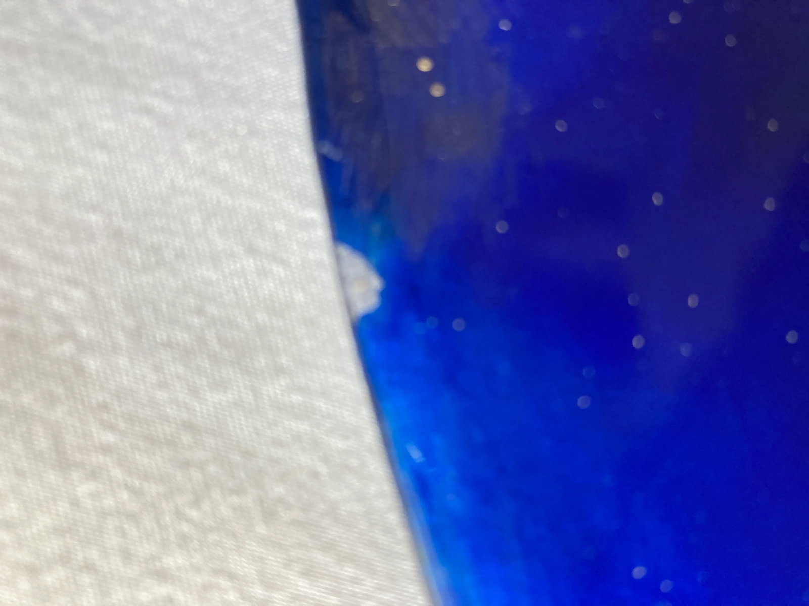 Modern Hand Painted Cobalt Blue Decorative Cat Plate by Jan Steninge Slott - 7