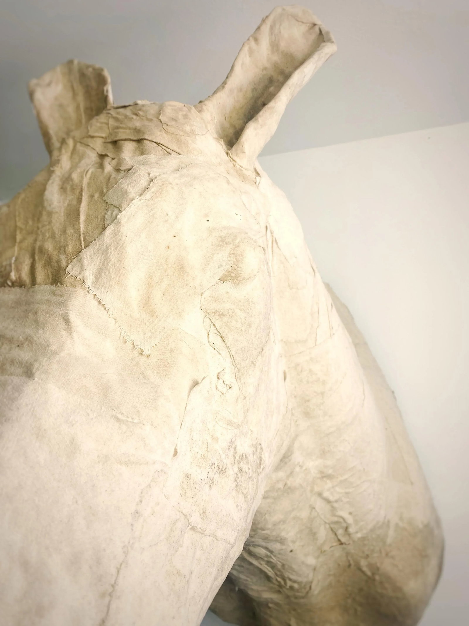 Handcrafted Life-Size Head Mounted Horse Head Faux Taxidermy Equestrian Horse Wall Decor Sculpture - 5