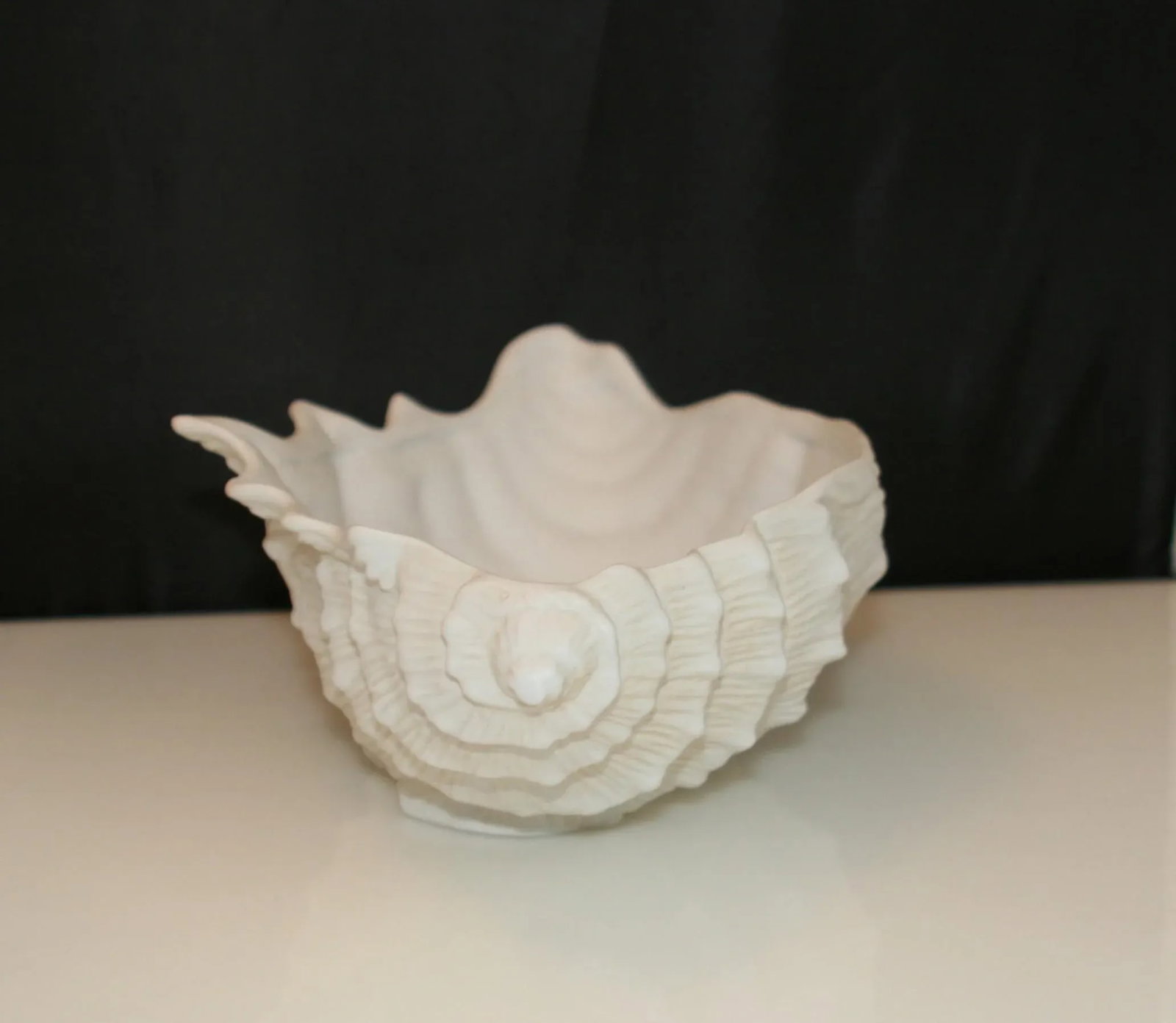 Vintage Fine Porcelain White Conch Shell Vide Poche Bowl - 4