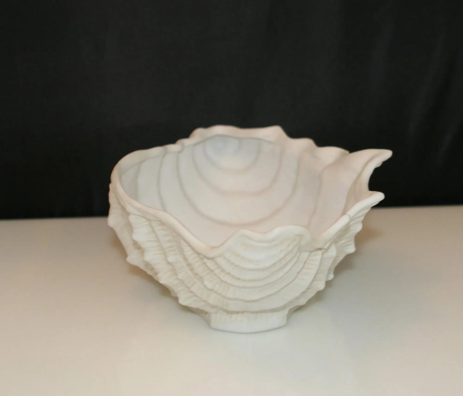 Vintage Fine Porcelain White Conch Shell Vide Poche Bowl - 6