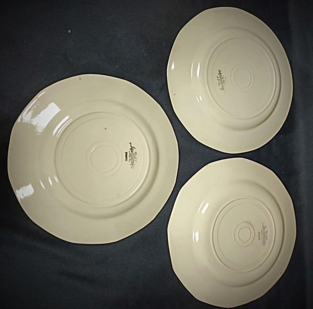 Vintage Set of 6 Sarreguemines Plates With Floral Decor - 12