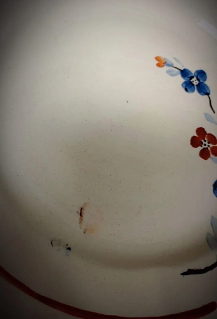 Vintage Set of 6 Sarreguemines Plates With Floral Decor - 2