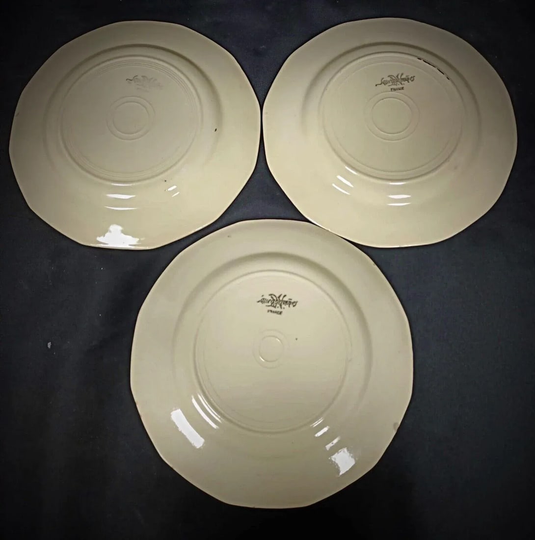 Vintage Set of 6 Sarreguemines Plates With Floral Decor - 6