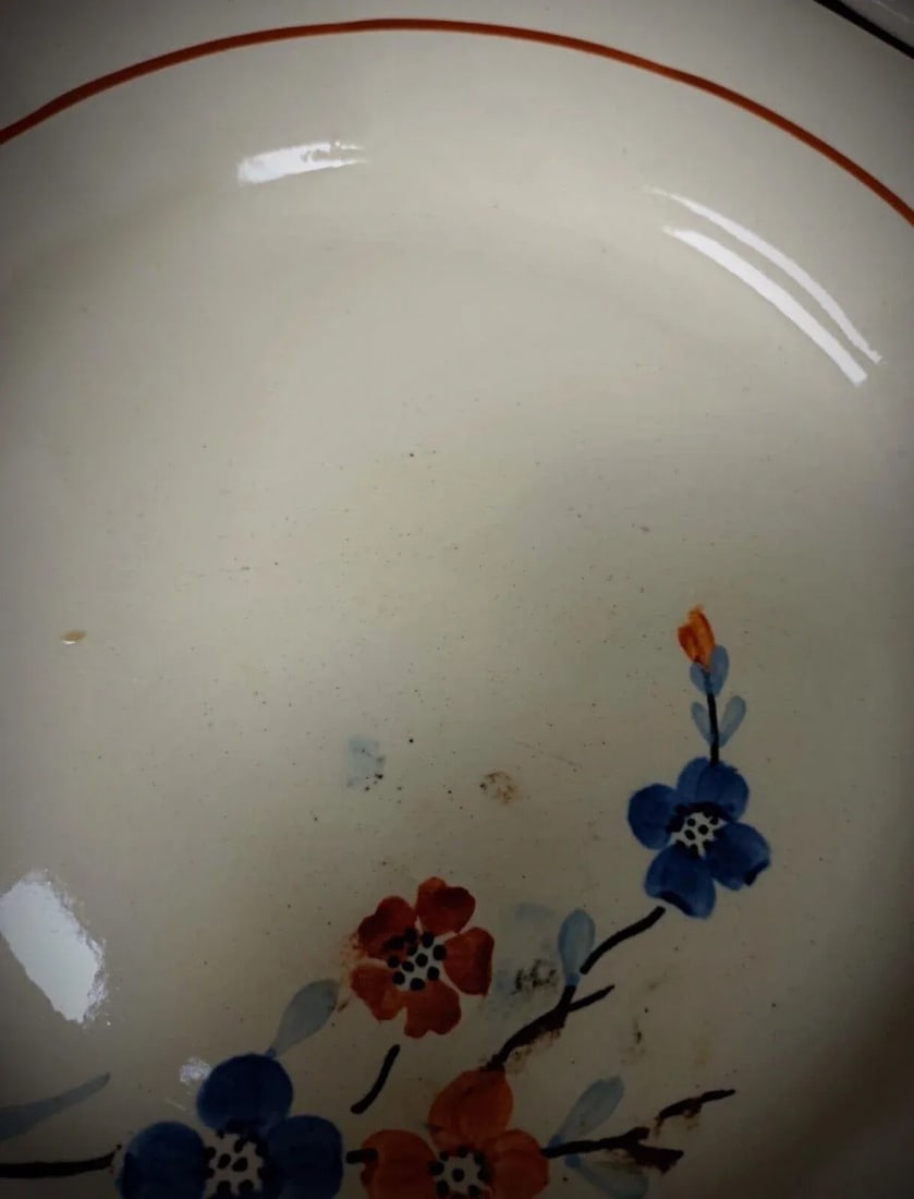 Vintage Set of 6 Sarreguemines Plates With Floral Decor - 8