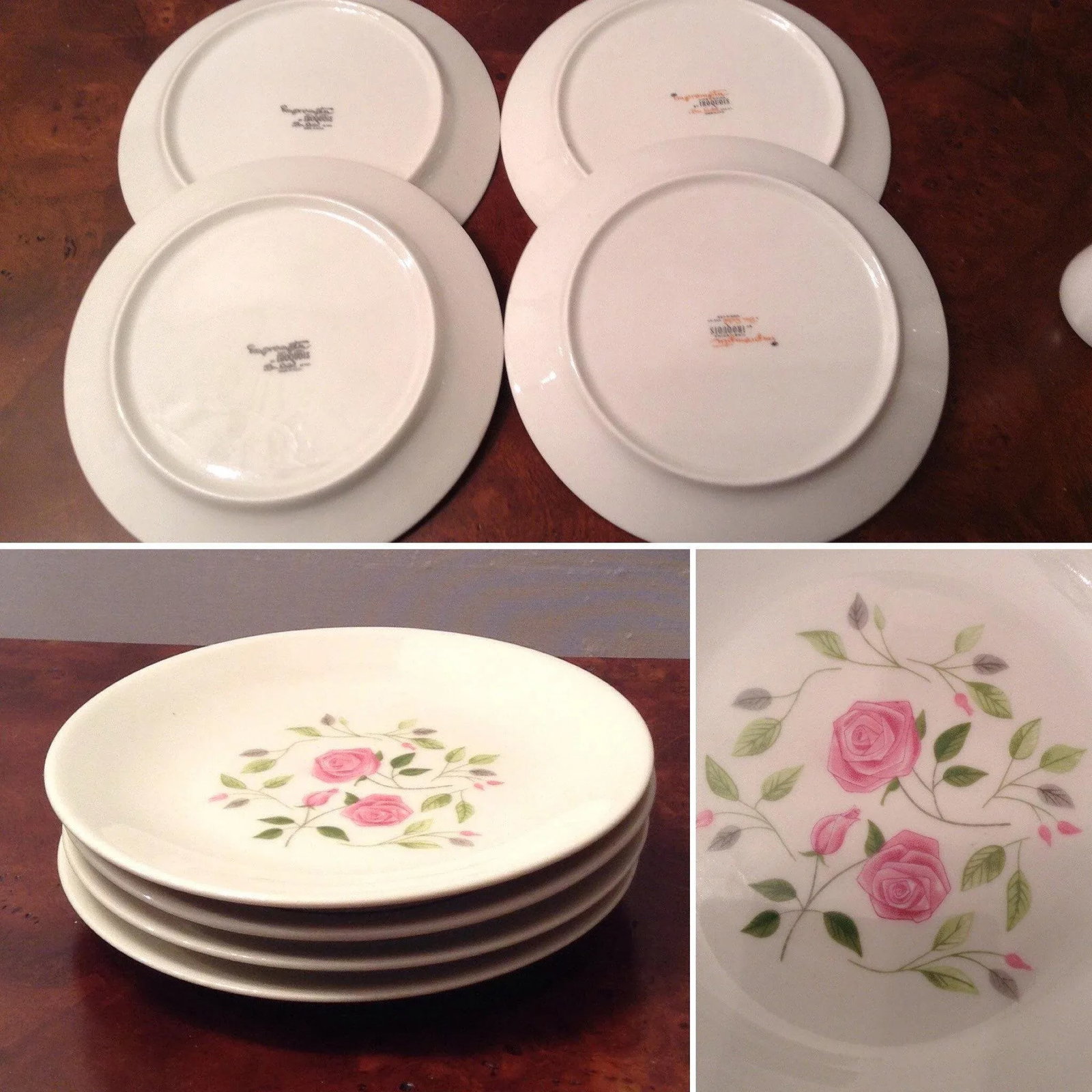 Iroquois China Ben Siebel Design Impromptu Wild Rose Dinnerware Set - 6