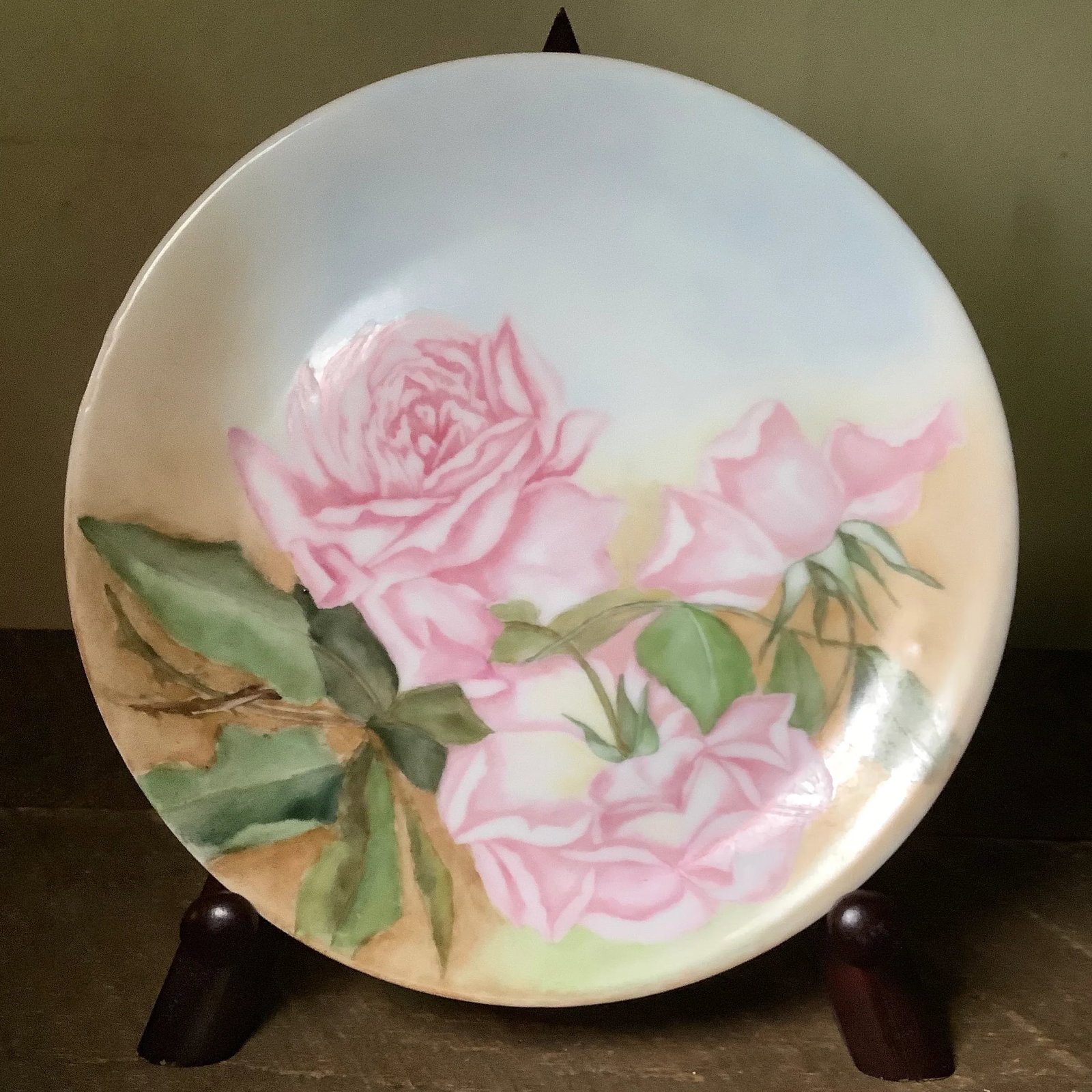 Bavarian Wall Art Hand Painted Plate Features Cabbage Roses - 10